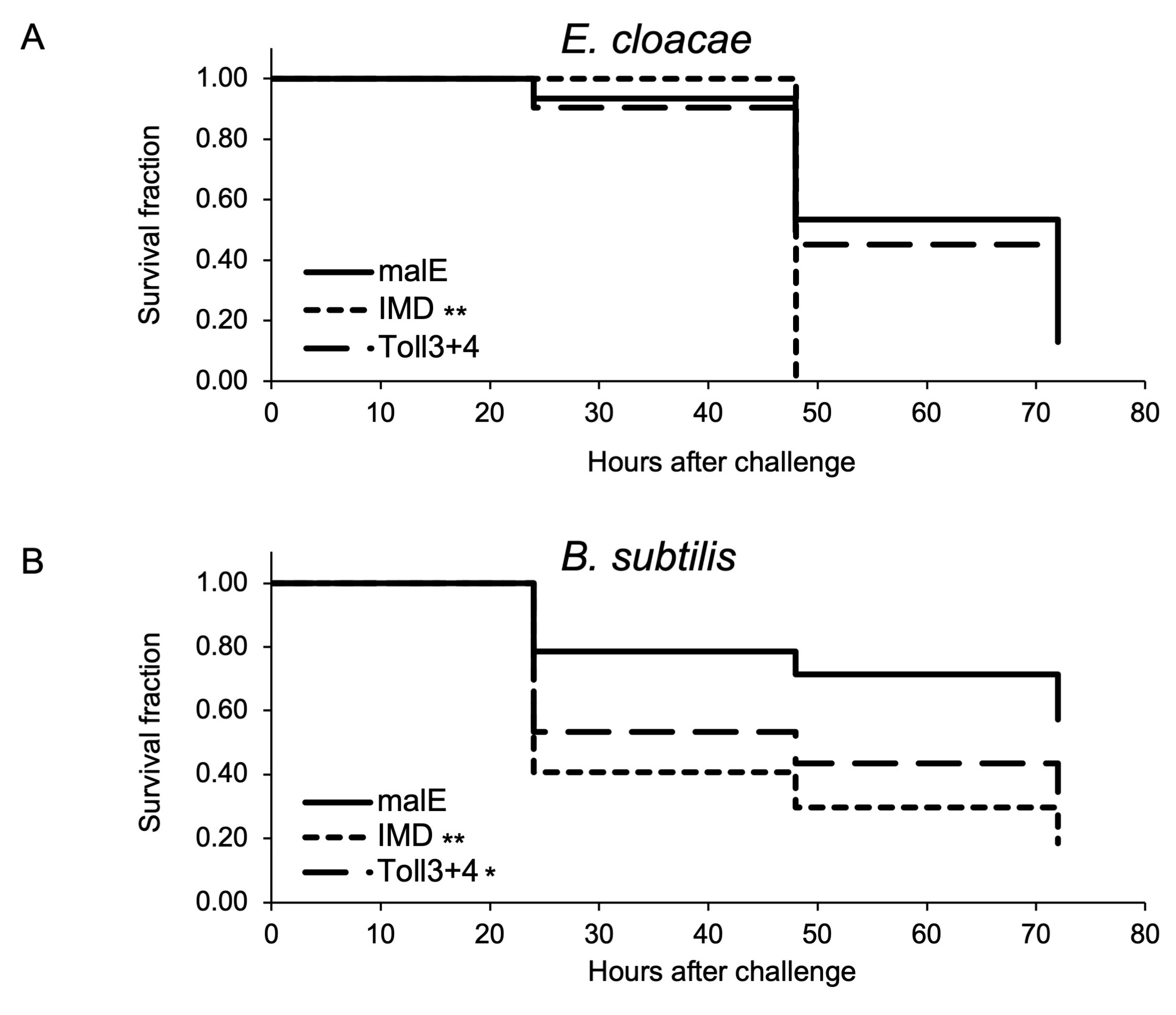 Ijms 24 01523 g007 Ijms 24 01523 g007