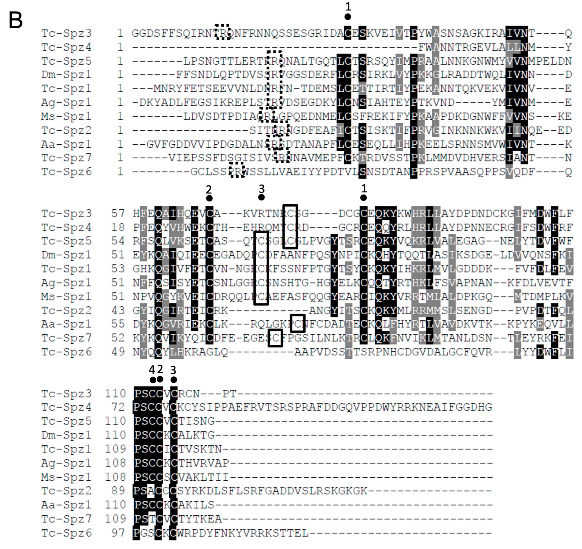 Ijms 24 01523 g008b Ijms 24 01523 g008b