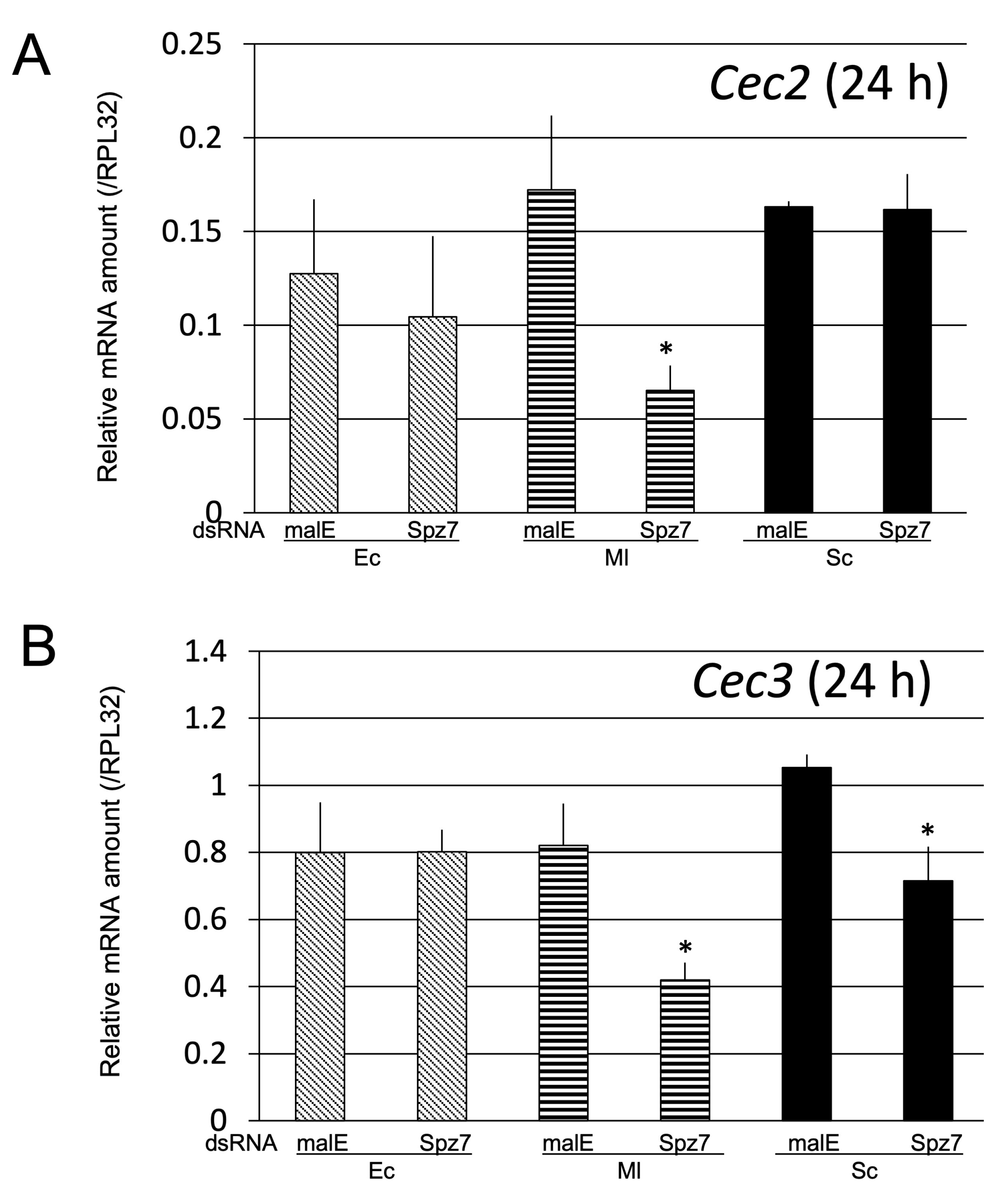 Ijms 24 01523 g012 Ijms 24 01523 g012