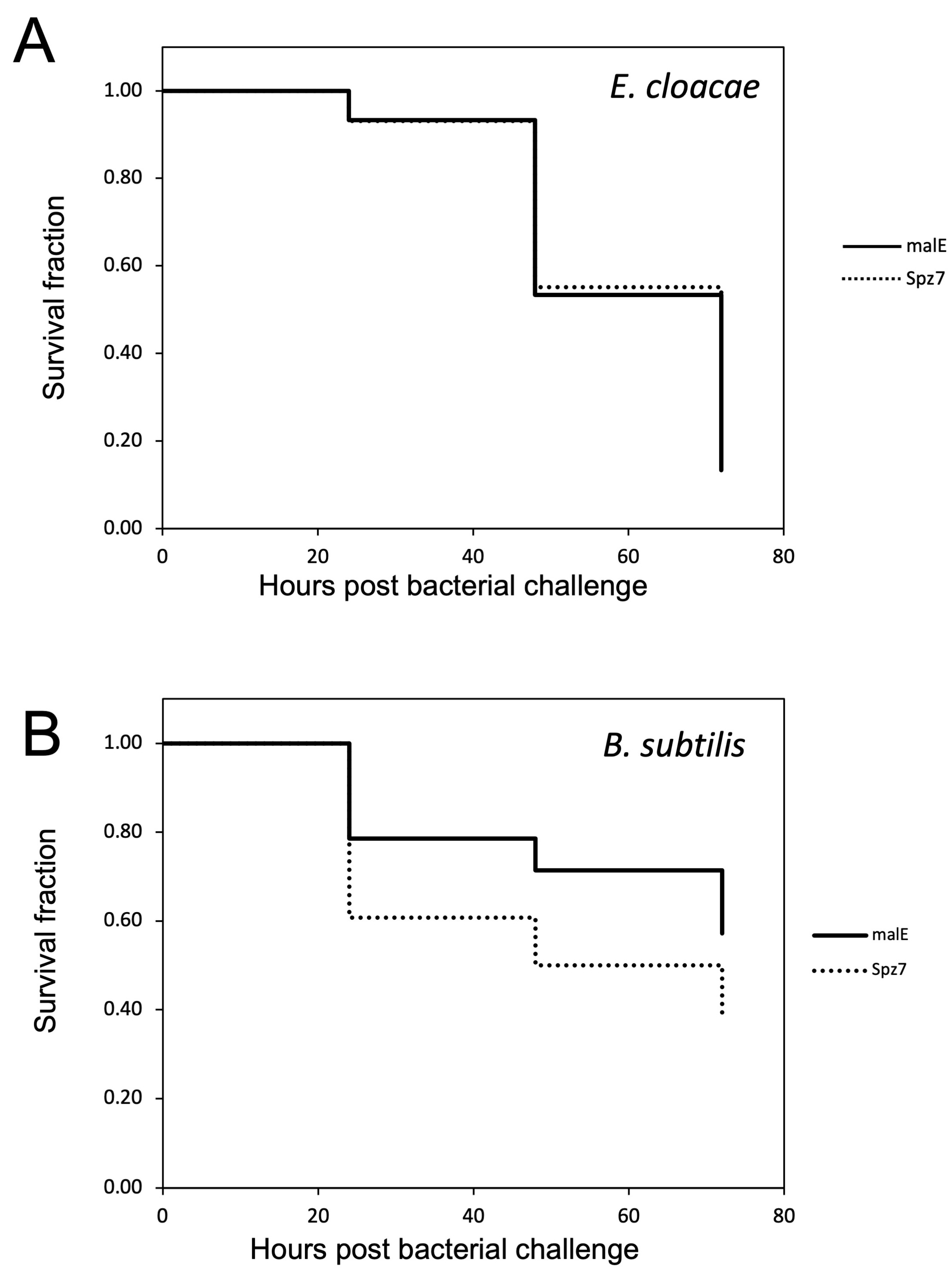 Ijms 24 01523 g013 Ijms 24 01523 g013