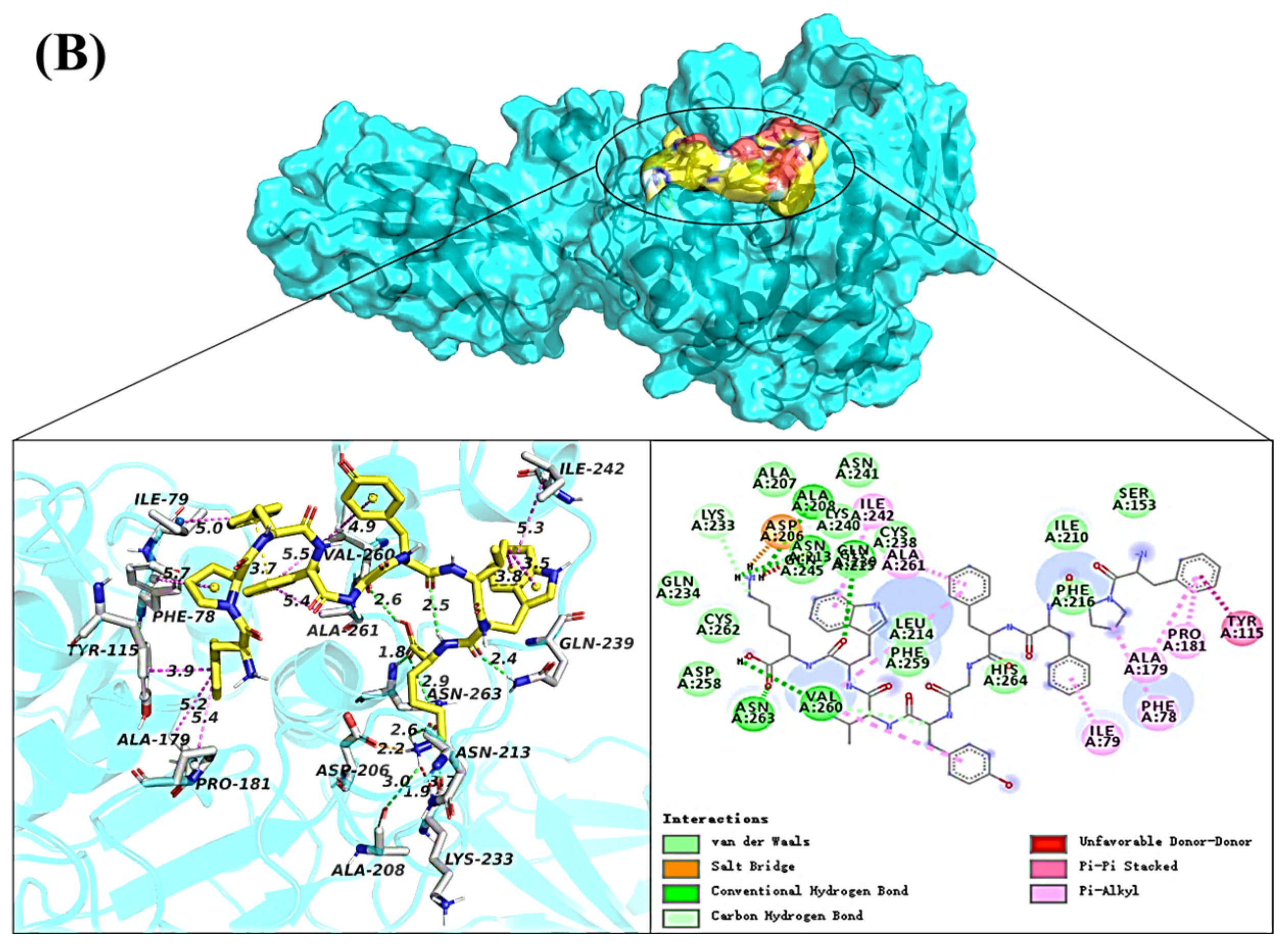 Ijms 24 01529 g003b Ijms 24 01529 g003b