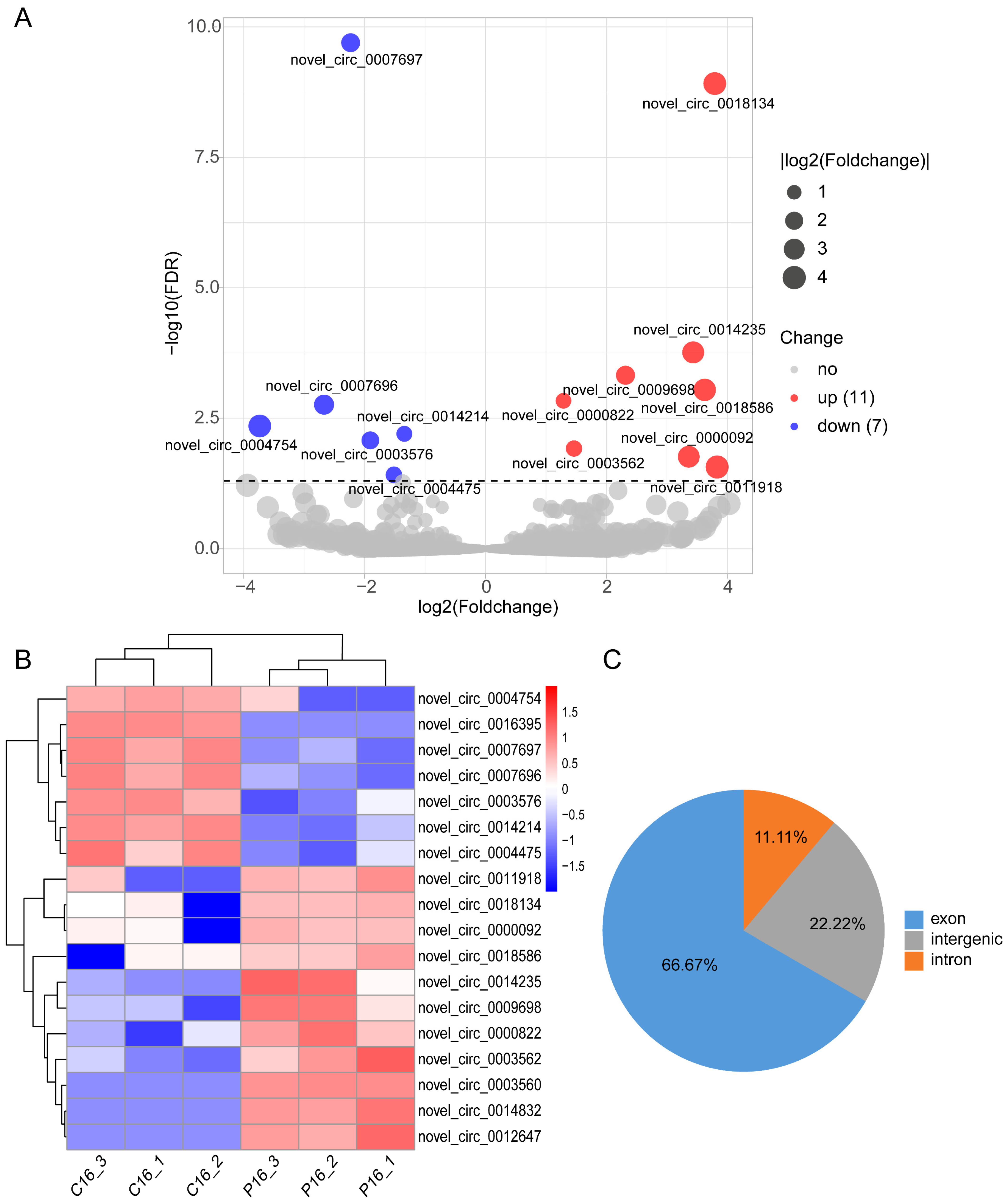 Ijms 24 01531 g004 Ijms 24 01531 g004