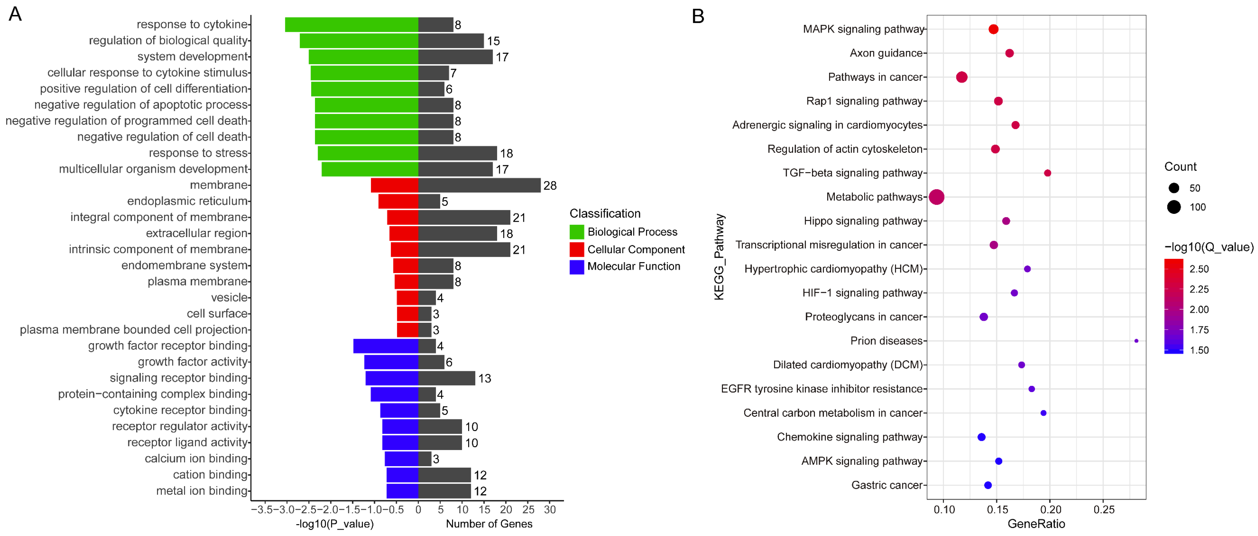 Ijms 24 01531 g006 Ijms 24 01531 g006