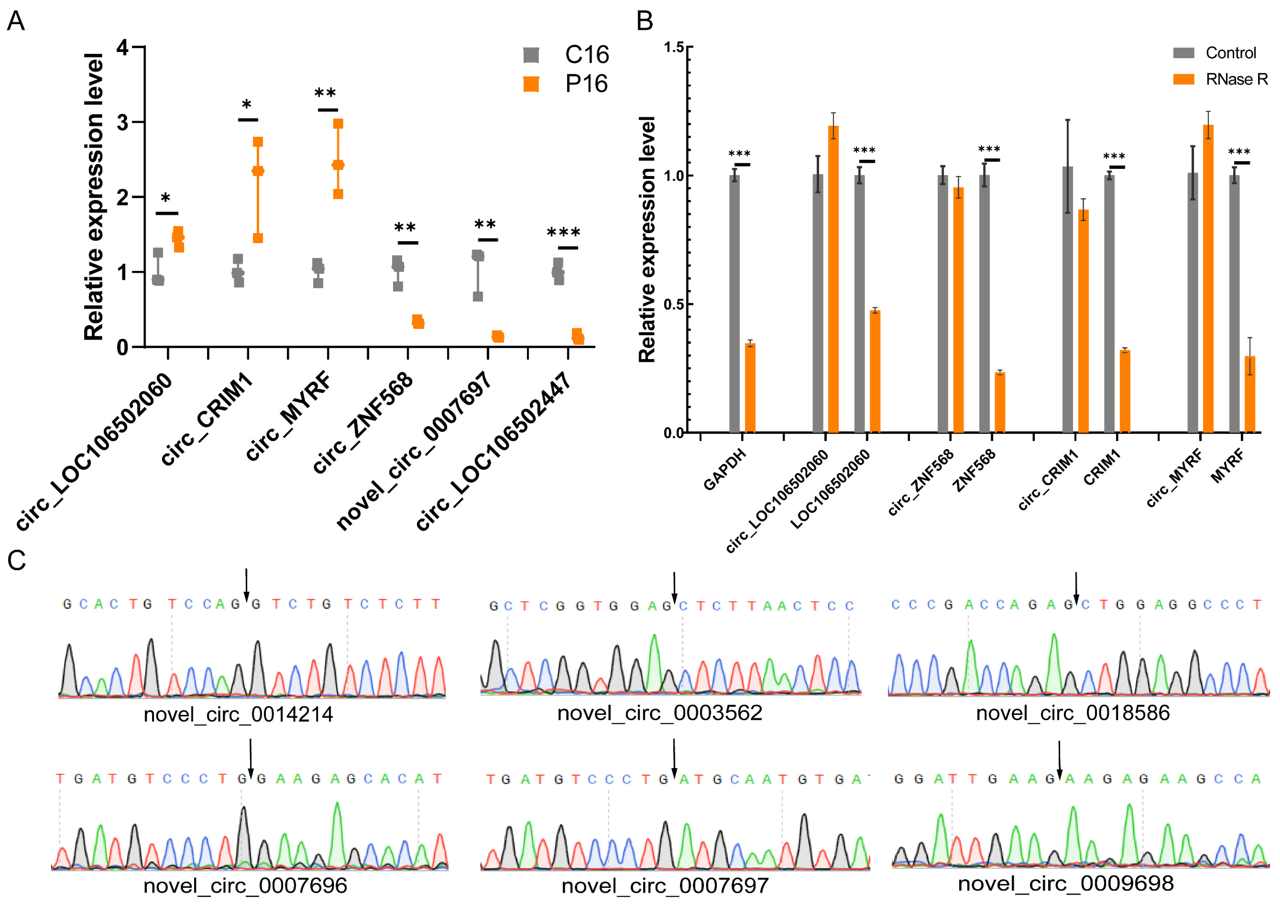 Ijms 24 01531 g007 Ijms 24 01531 g007