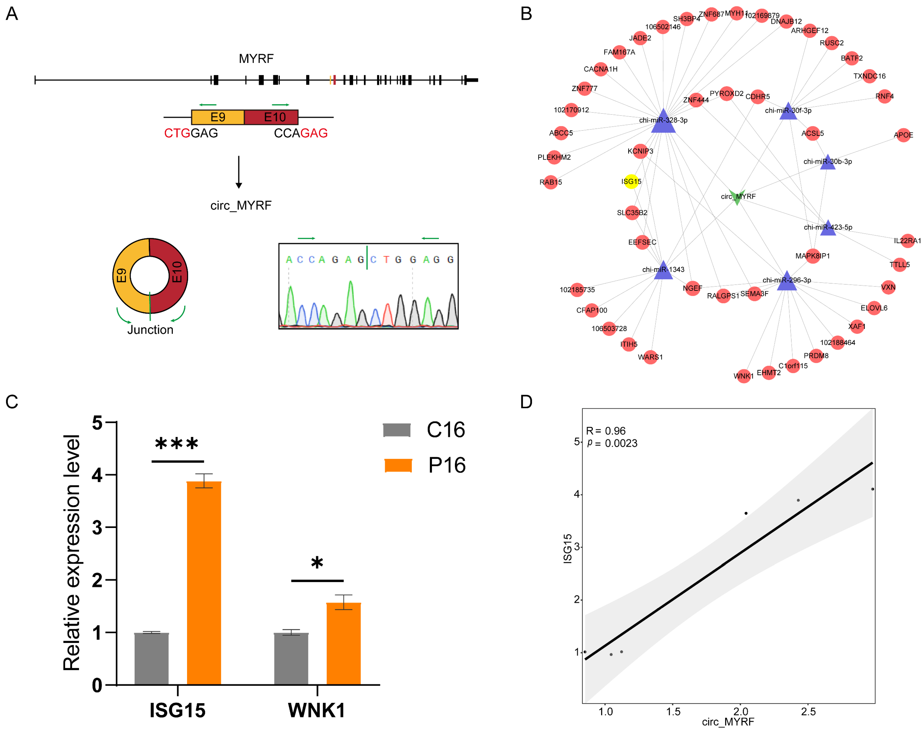 Ijms 24 01531 g008 Ijms 24 01531 g008