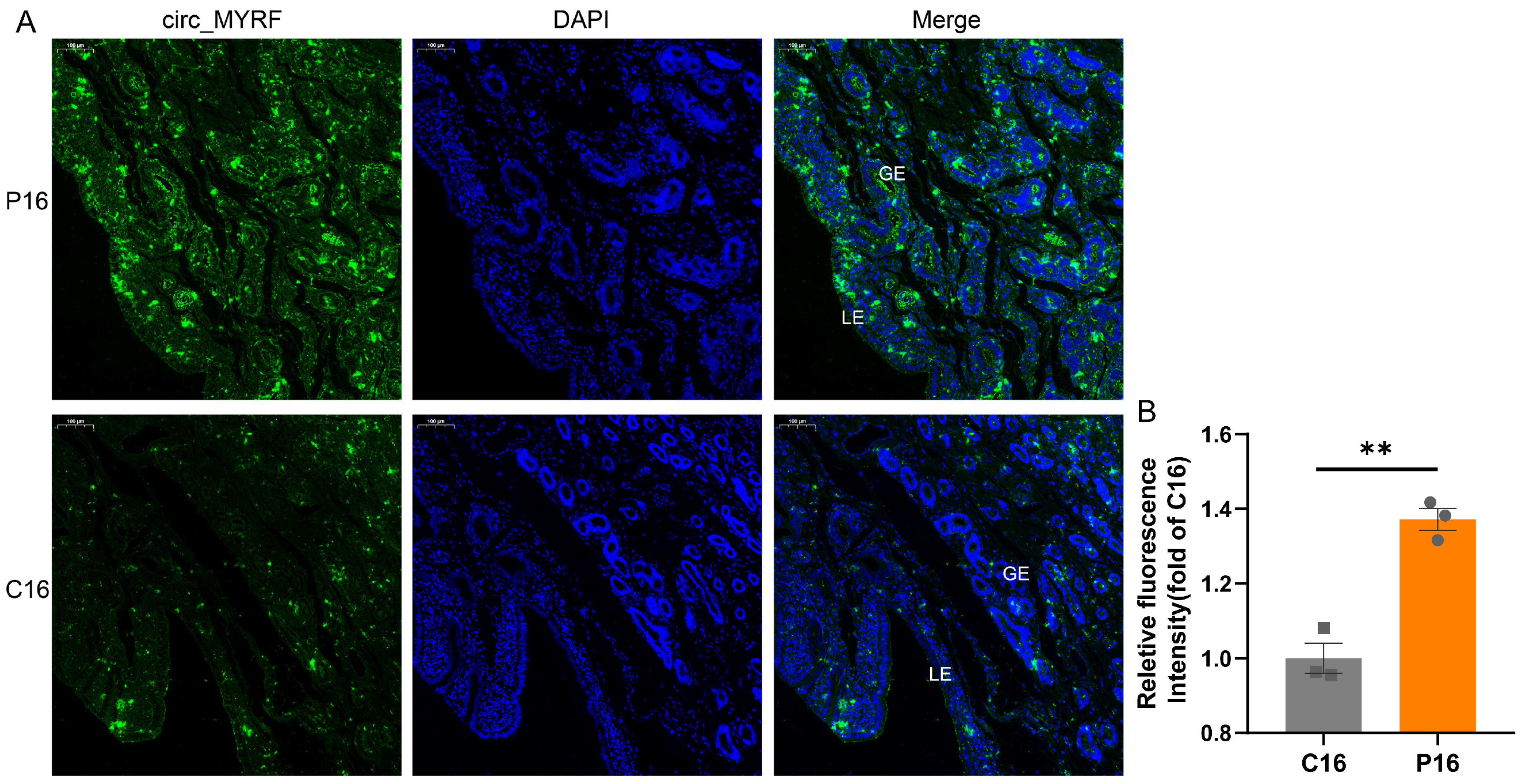 Ijms 24 01531 g009 Ijms 24 01531 g009