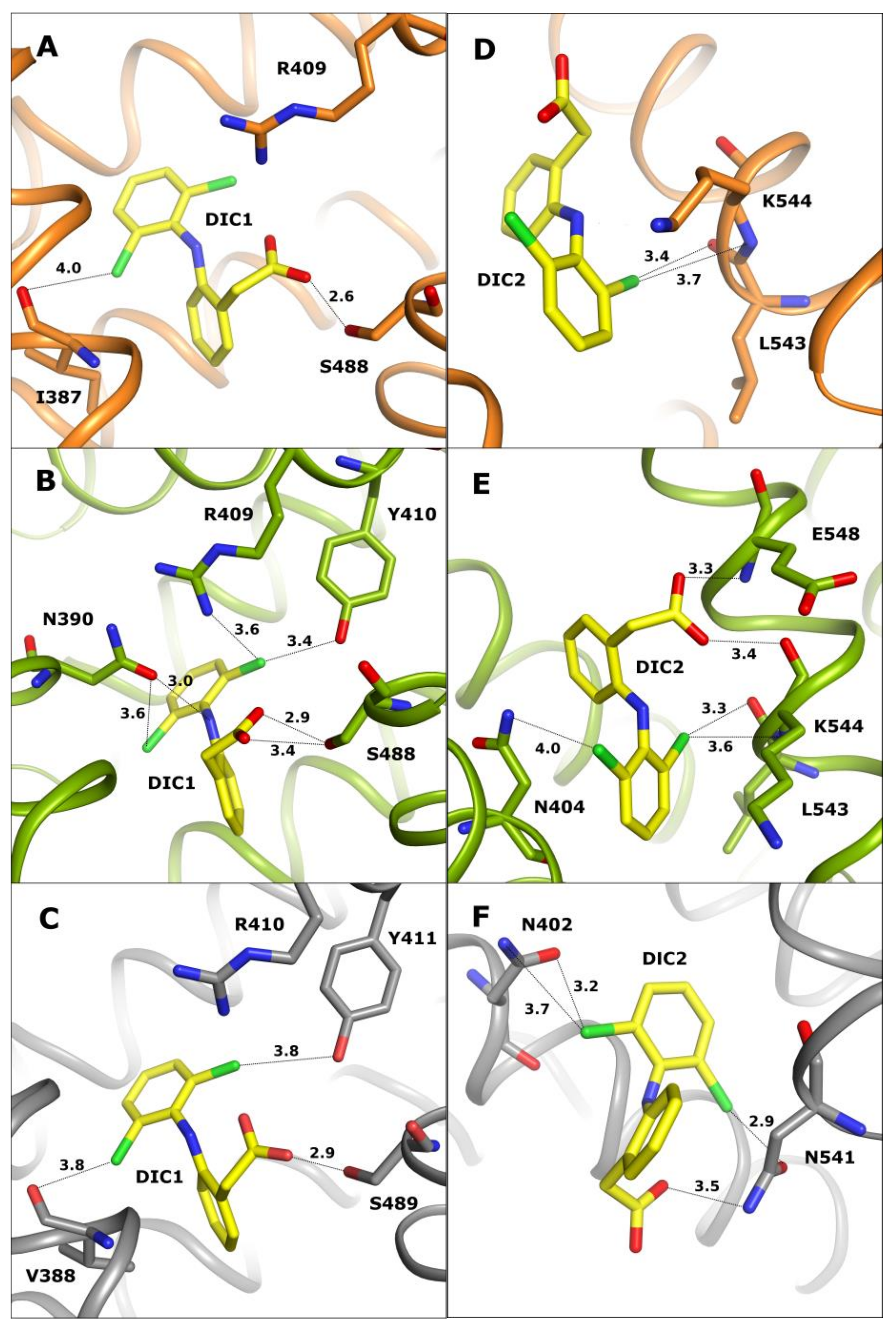 Ijms 24 01534 g002 Ijms 24 01534 g002