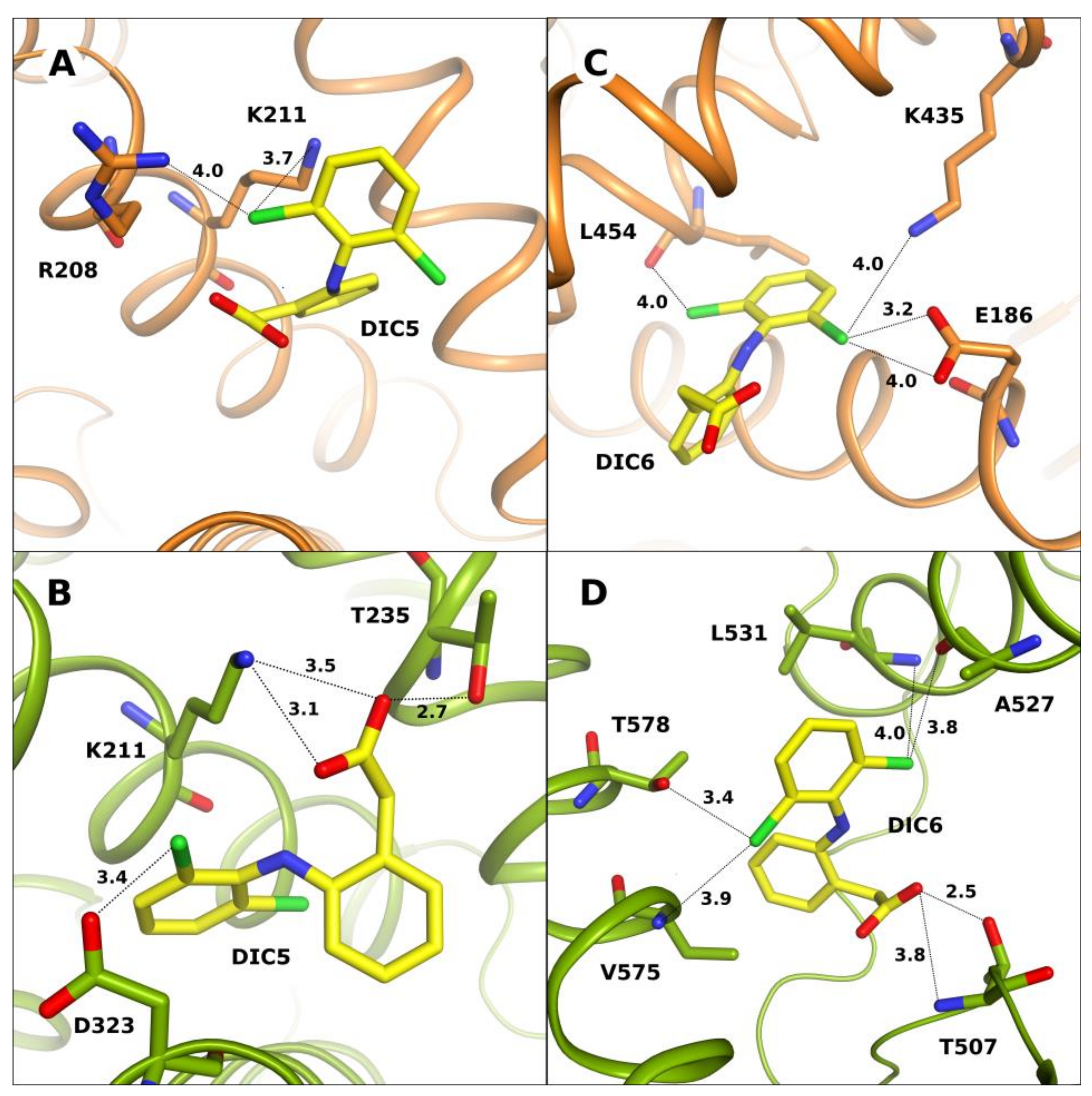 Ijms 24 01534 g004 Ijms 24 01534 g004