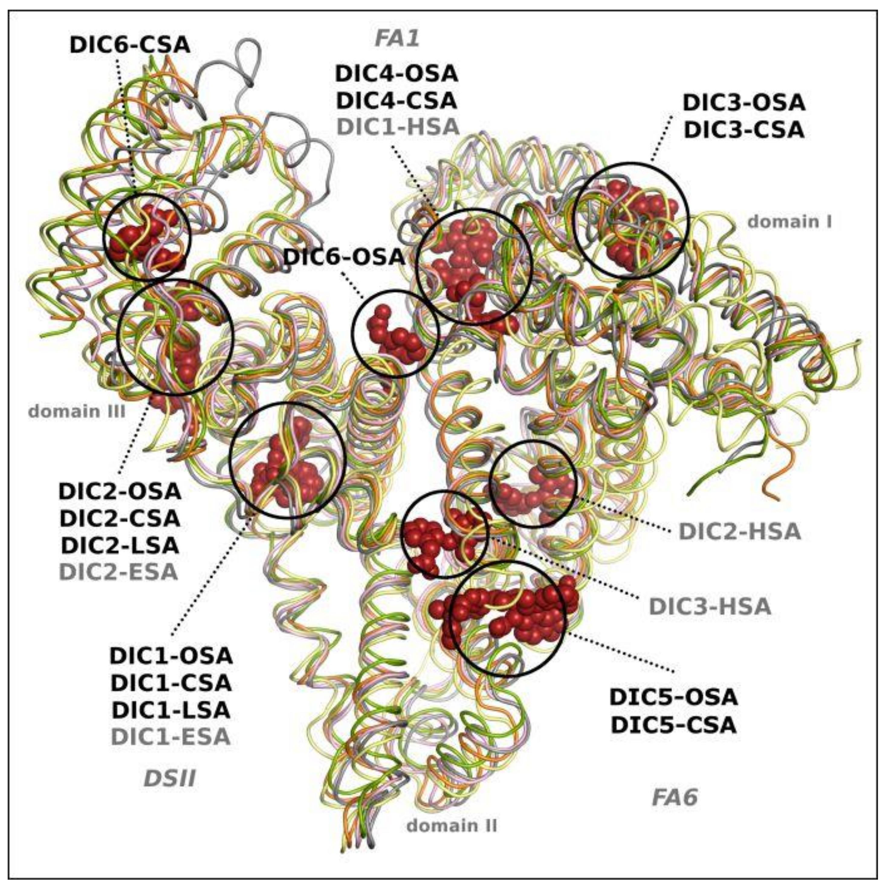 Ijms 24 01534 g005 Ijms 24 01534 g005