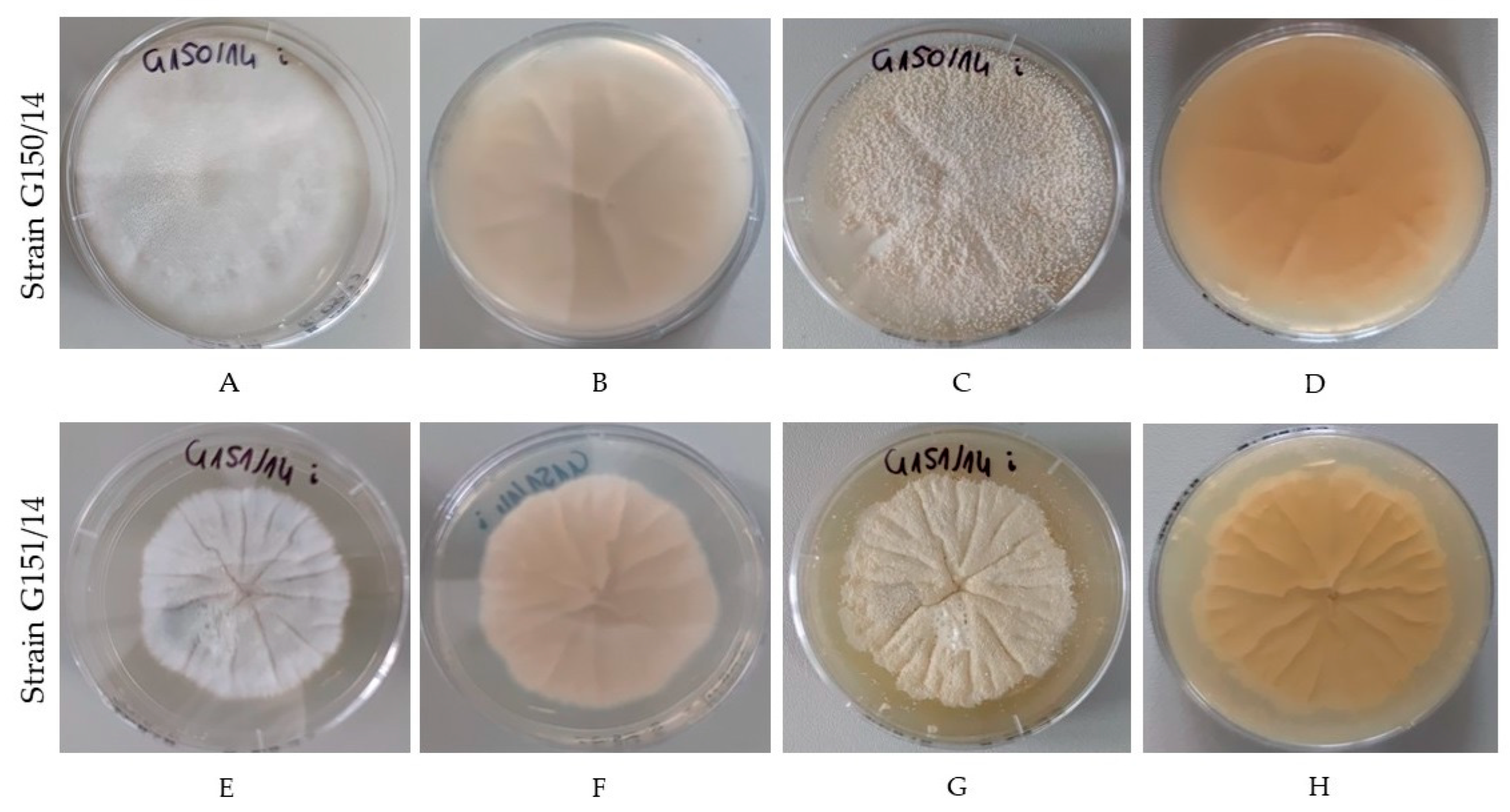 Ijms 24 01543 g002 Ijms 24 01543 g002