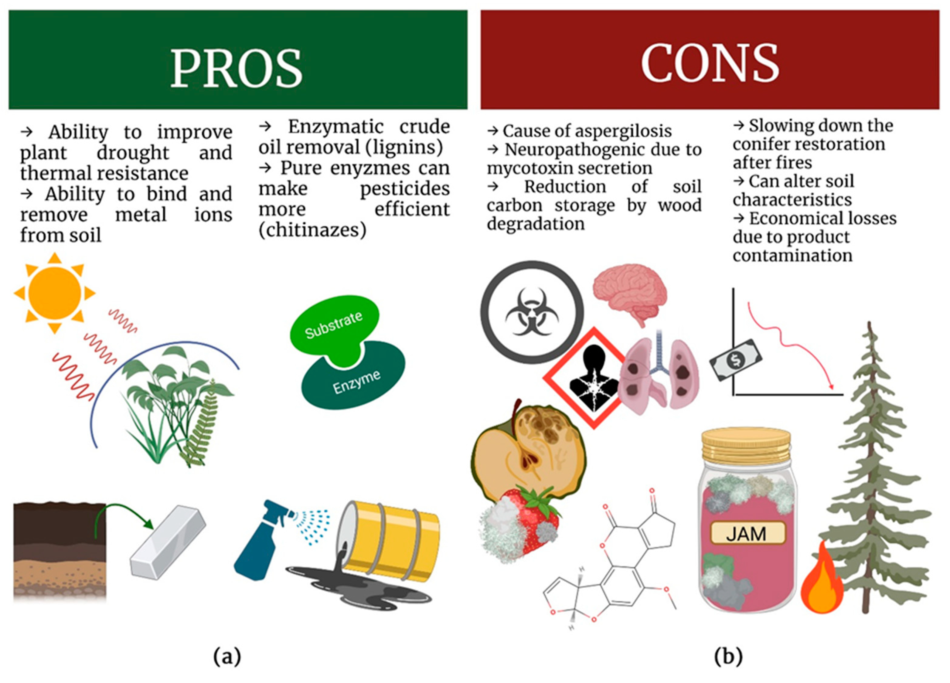 Ijms 24 01543 g003 Ijms 24 01543 g003