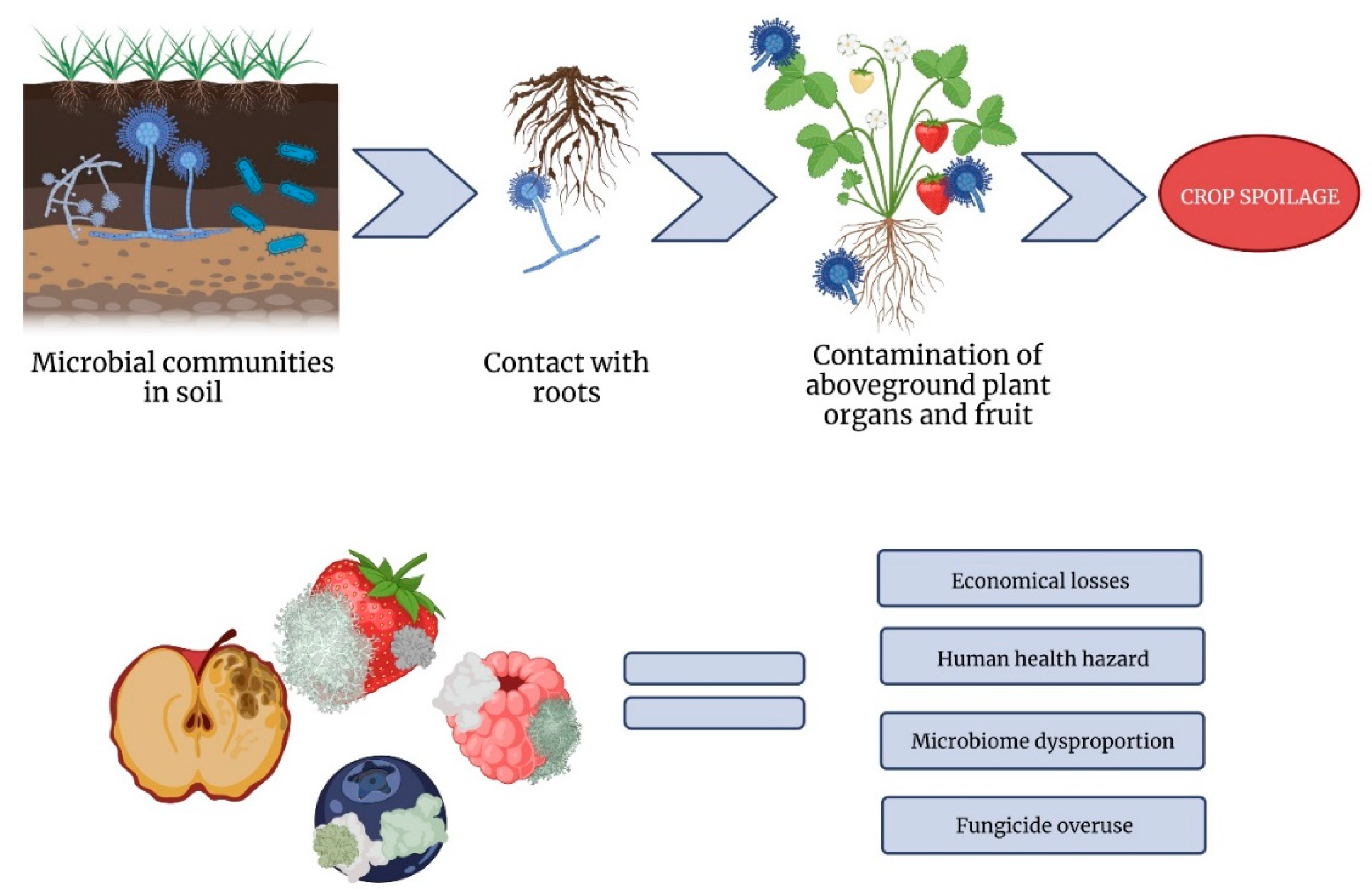 Ijms 24 01543 g004 Ijms 24 01543 g004