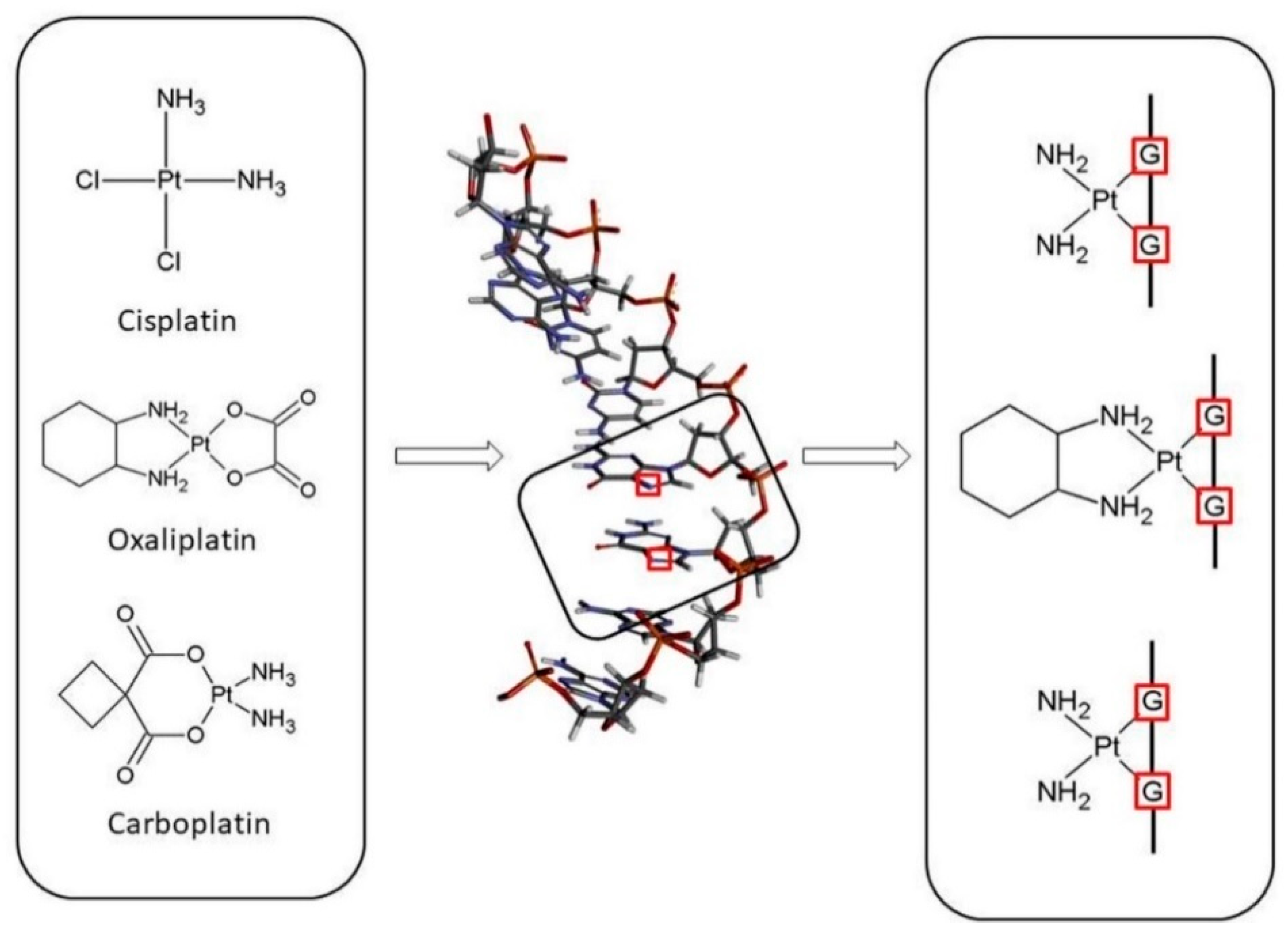 Ijms 24 01548 g002 Ijms 24 01548 g002