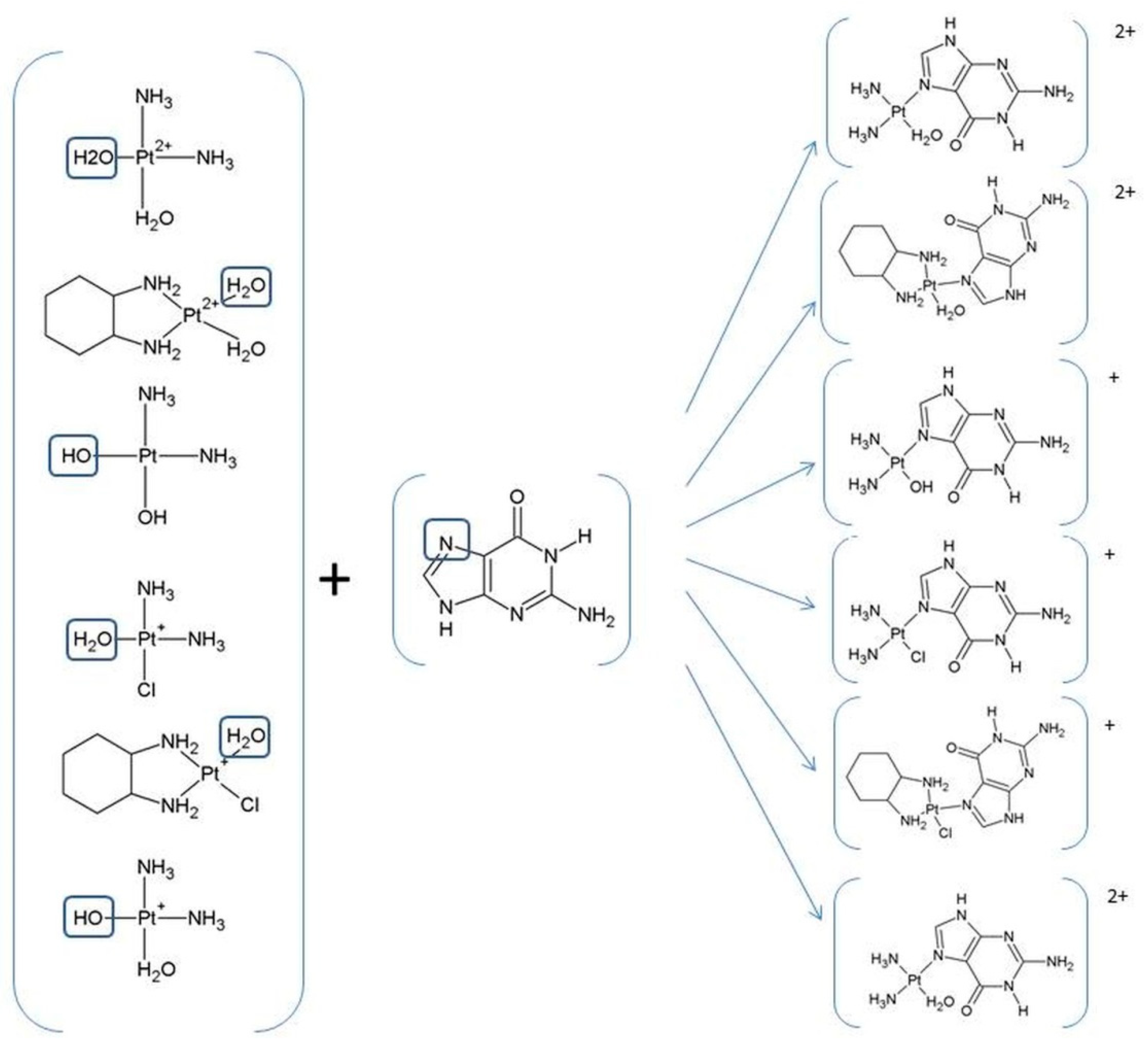 Ijms 24 01548 g003 Ijms 24 01548 g003