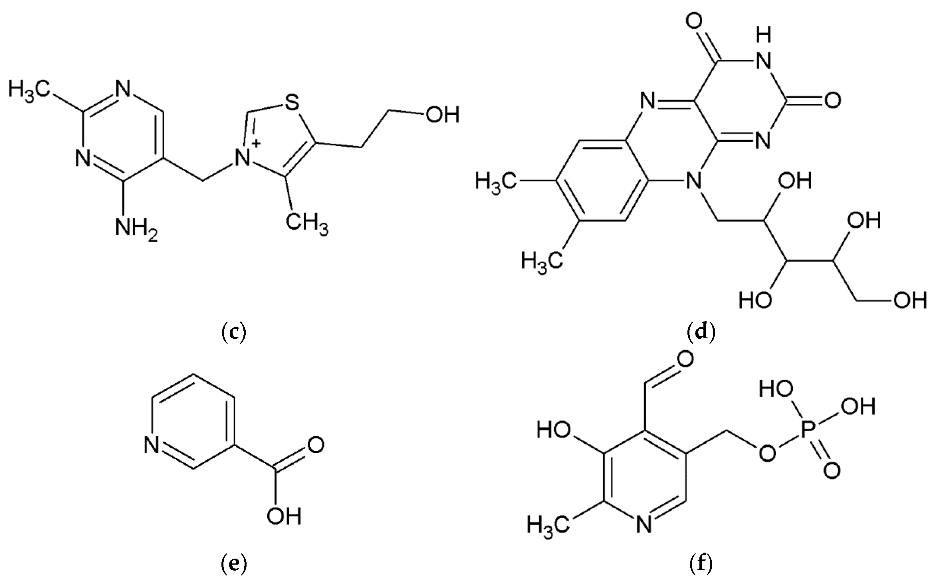 Ijms 24 01548 g005b Ijms 24 01548 g005b