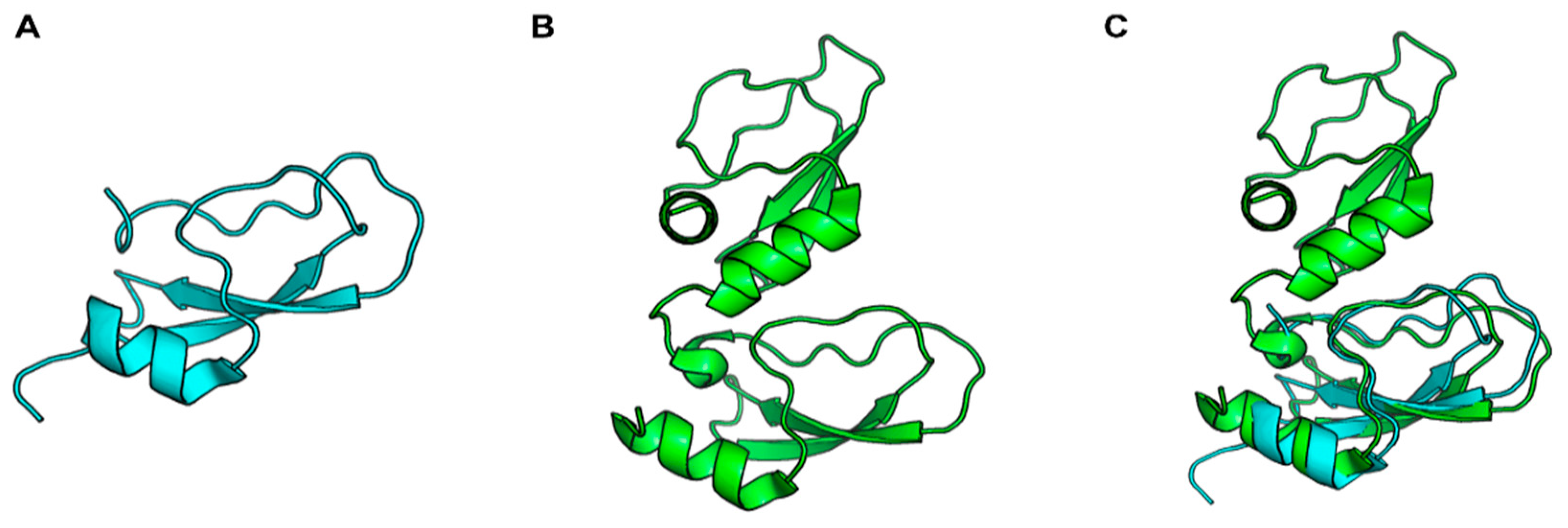 Ijms 24 01556 g001 Ijms 24 01556 g001