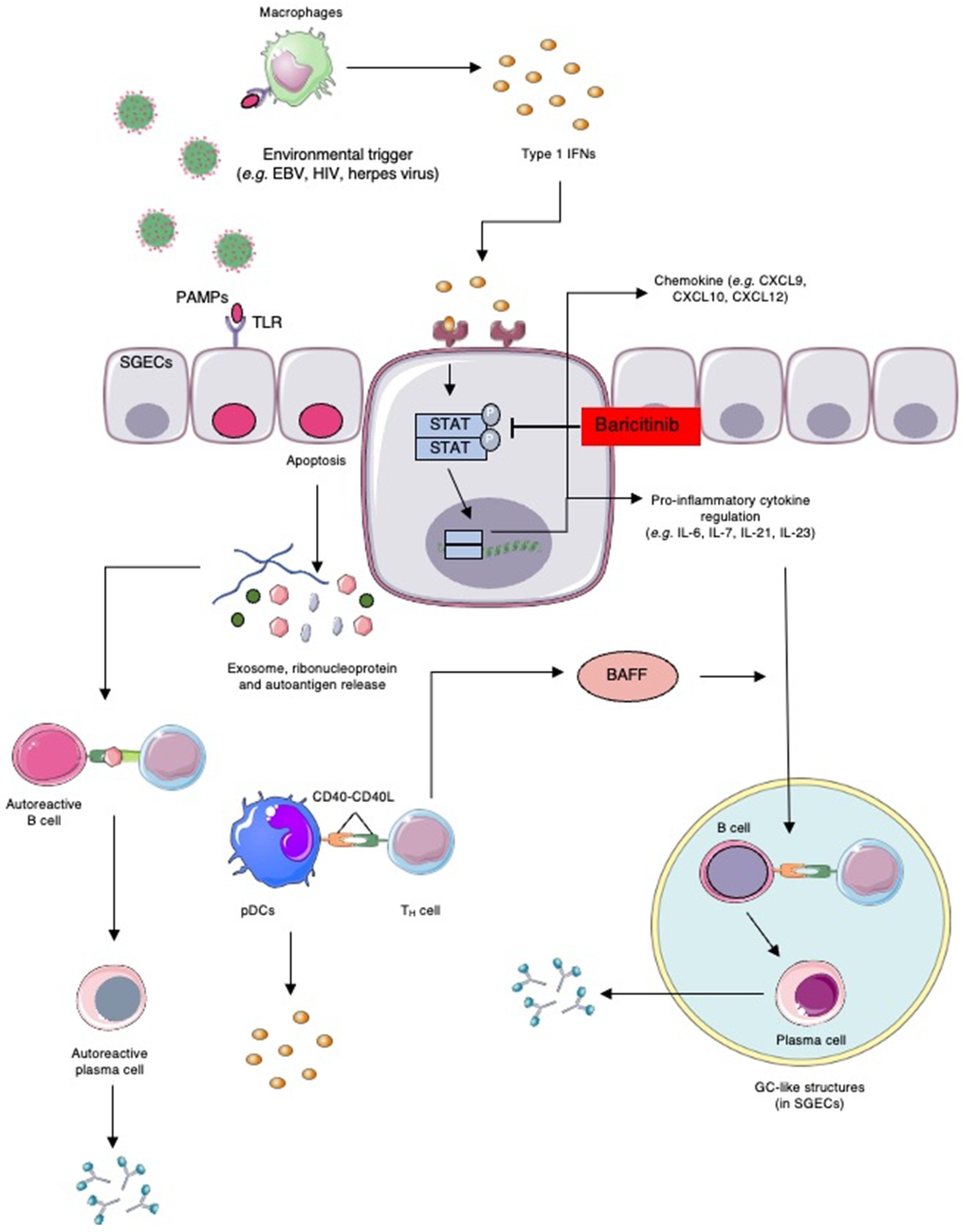 Ijms 24 01580 g002 Ijms 24 01580 g002