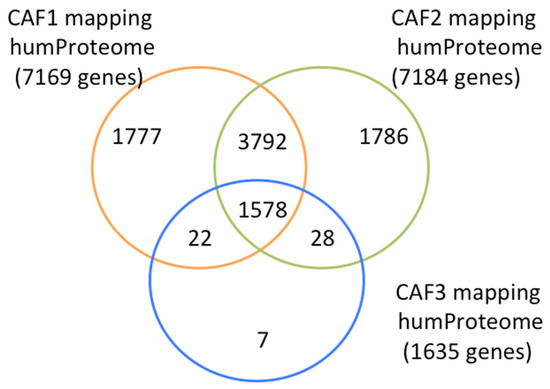 IJMS | Free Full-Text | Comparative Evaluation of Reproducibility of ...