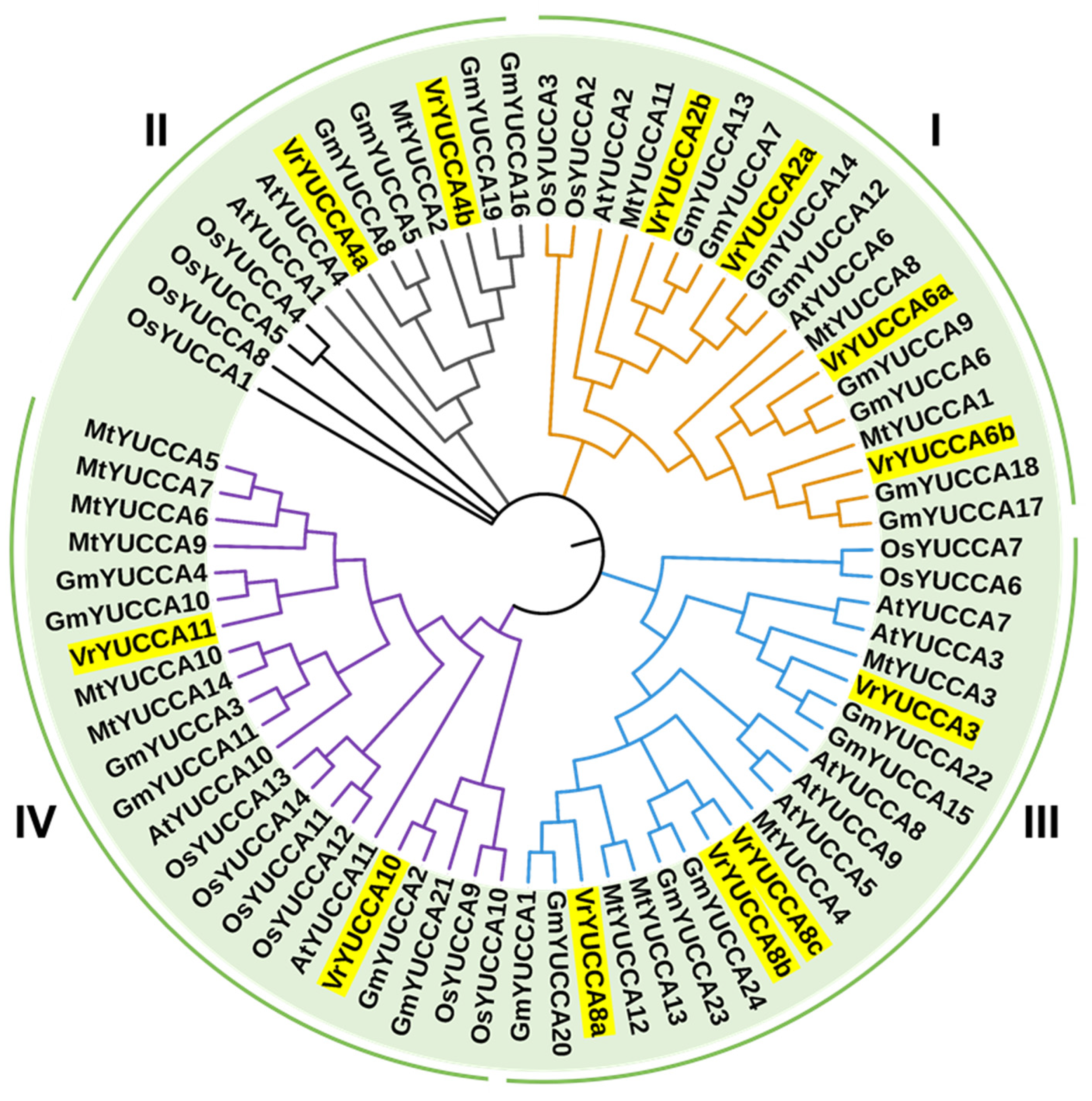 Ijms 24 01603 g002 Ijms 24 01603 g002
