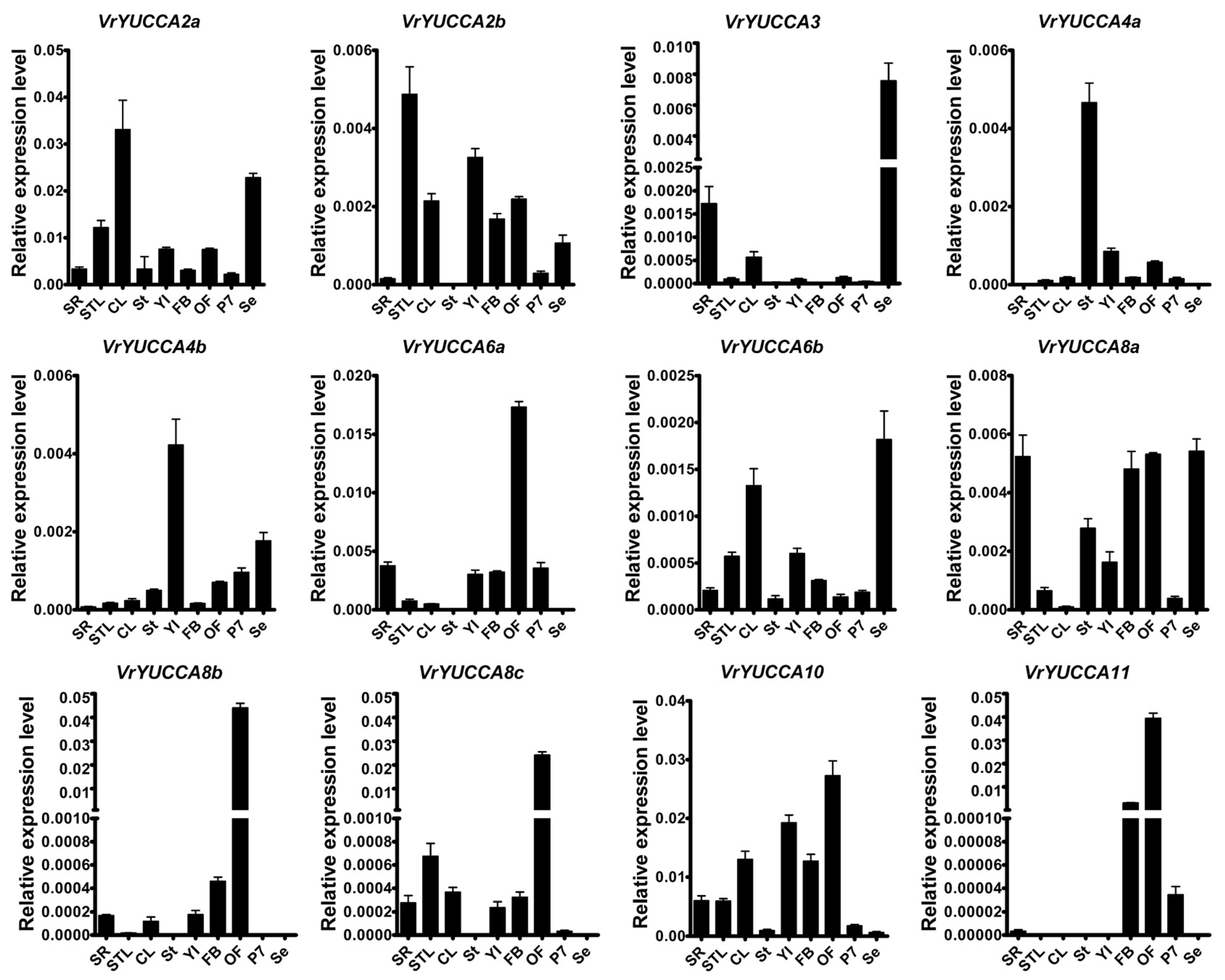 Ijms 24 01603 g003 Ijms 24 01603 g003