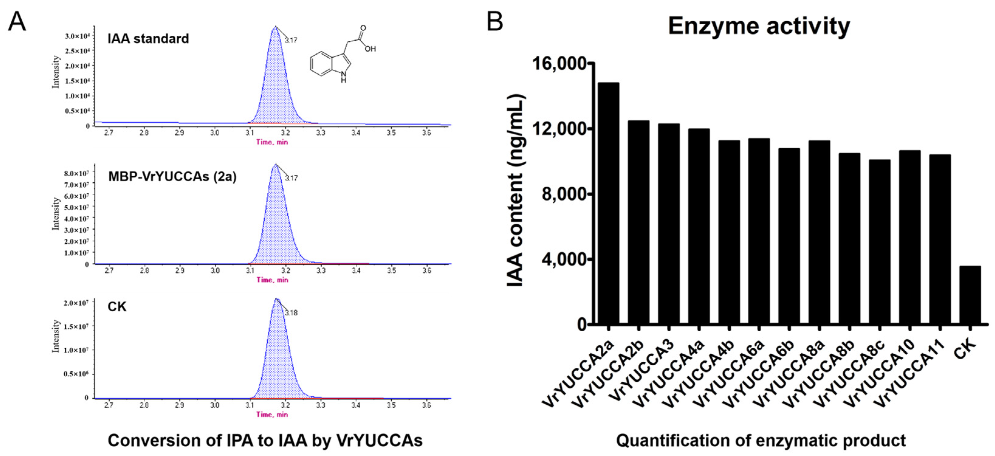 Ijms 24 01603 g004 Ijms 24 01603 g004
