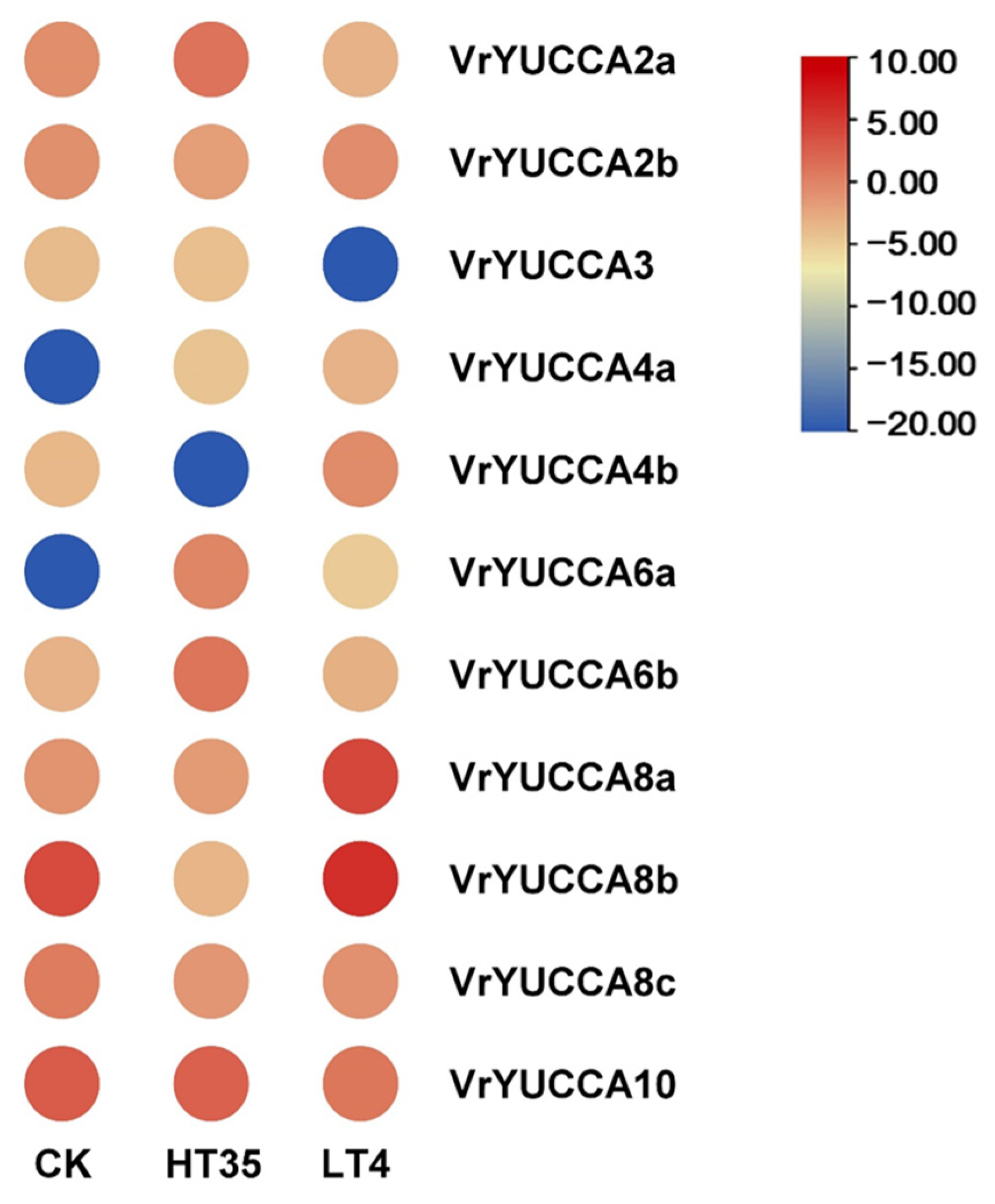 Ijms 24 01603 g008 Ijms 24 01603 g008