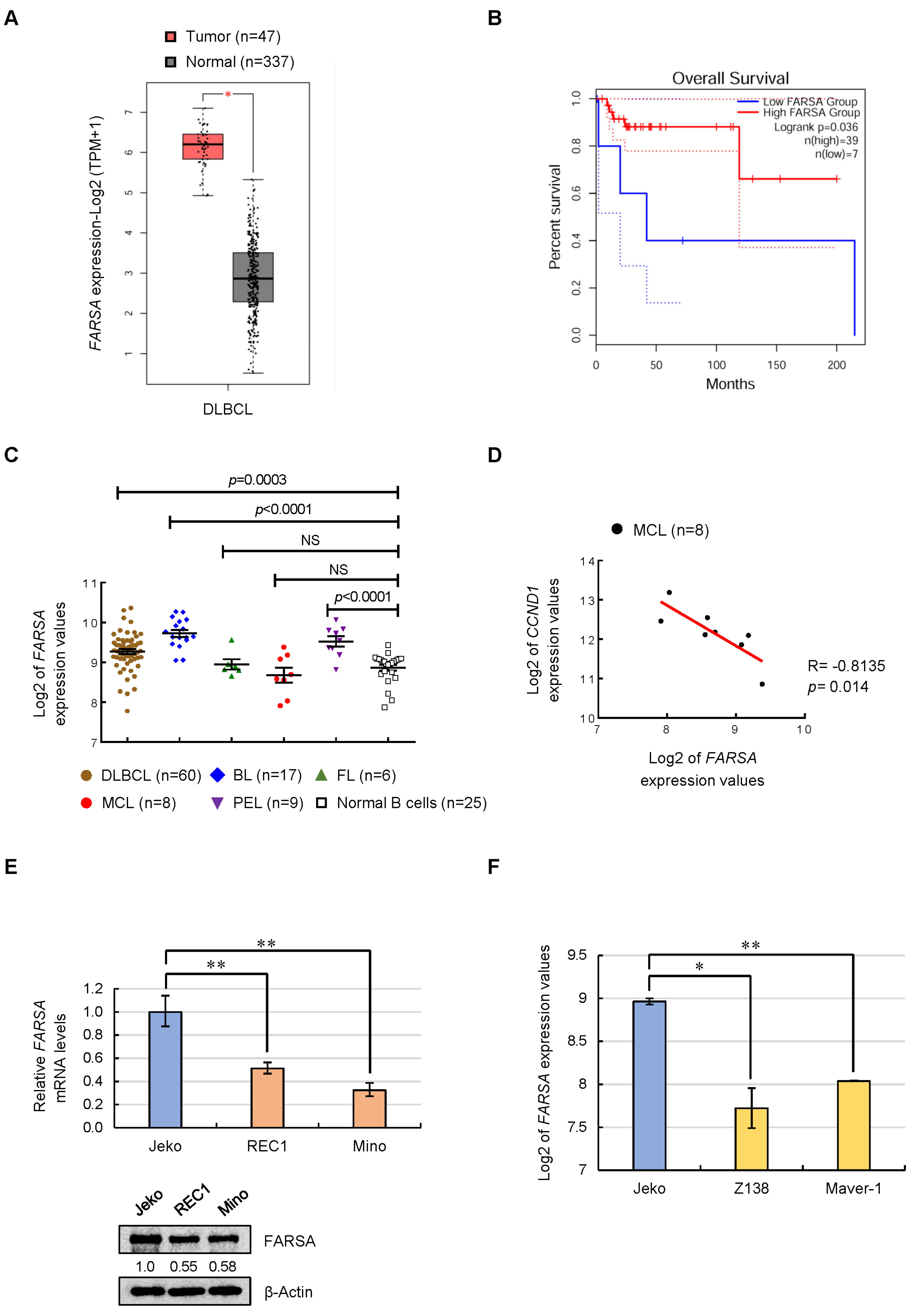 Ijms 24 01608 g001 Ijms 24 01608 g001