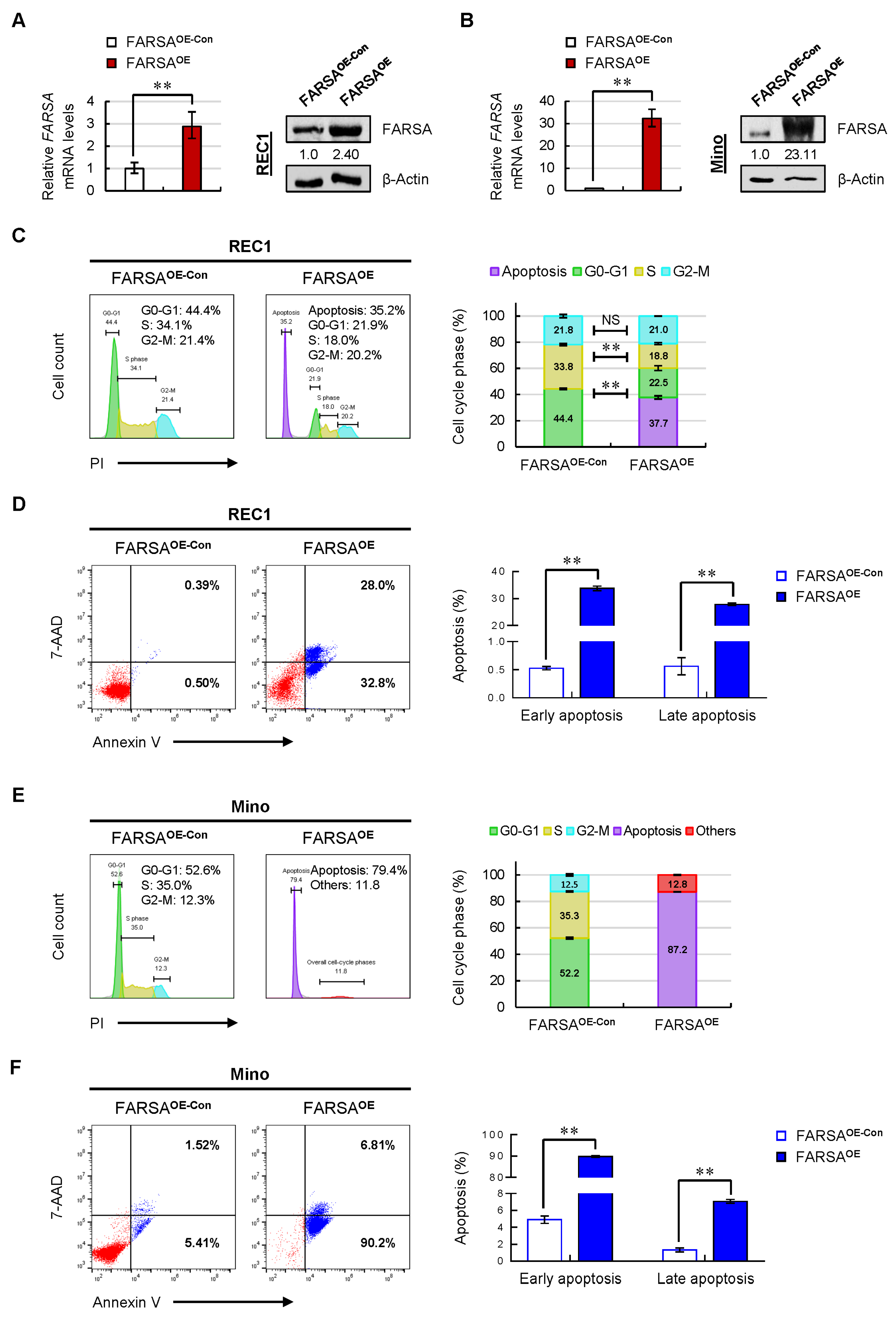 Ijms 24 01608 g003 Ijms 24 01608 g003