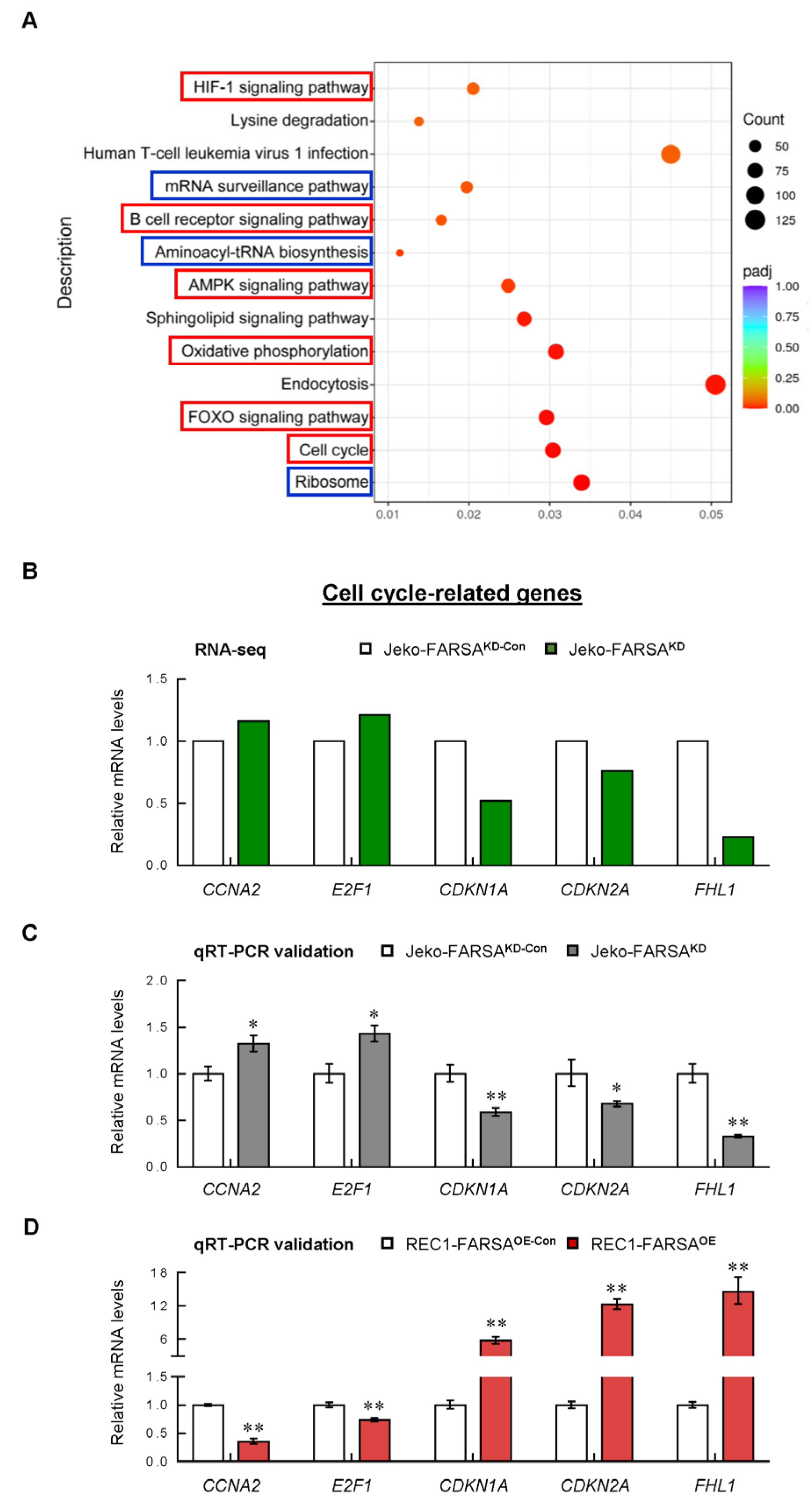 Ijms 24 01608 g005 Ijms 24 01608 g005