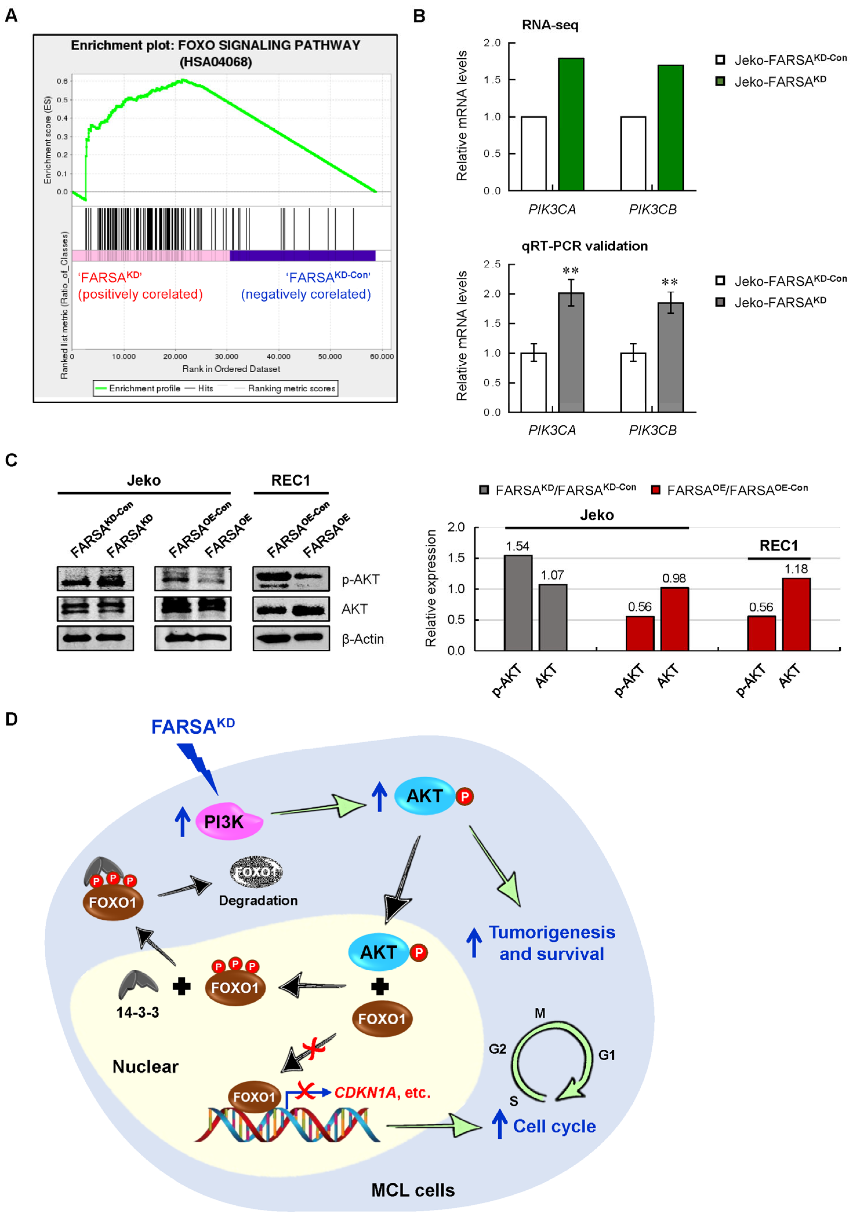 Ijms 24 01608 g006 Ijms 24 01608 g006