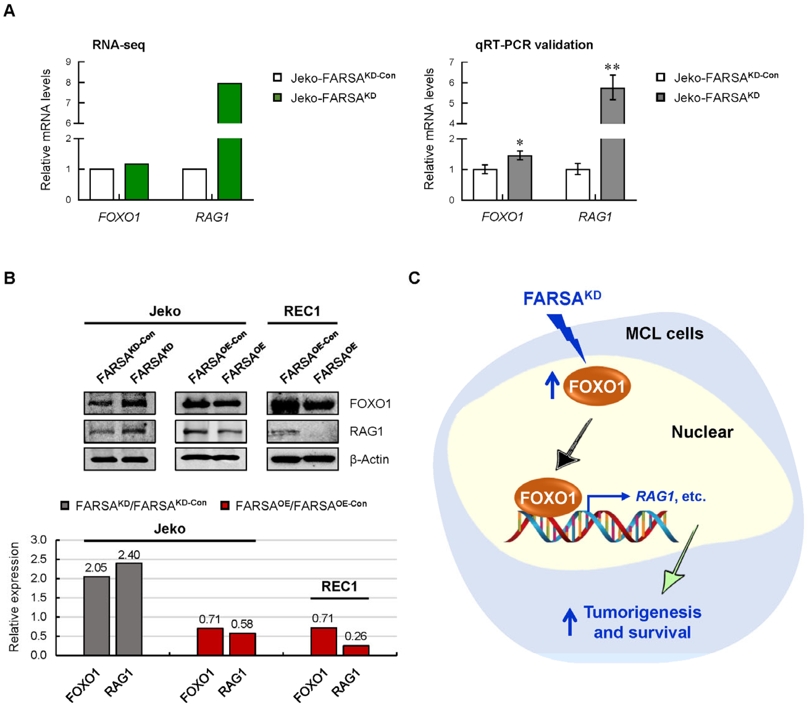 Ijms 24 01608 g007 Ijms 24 01608 g007