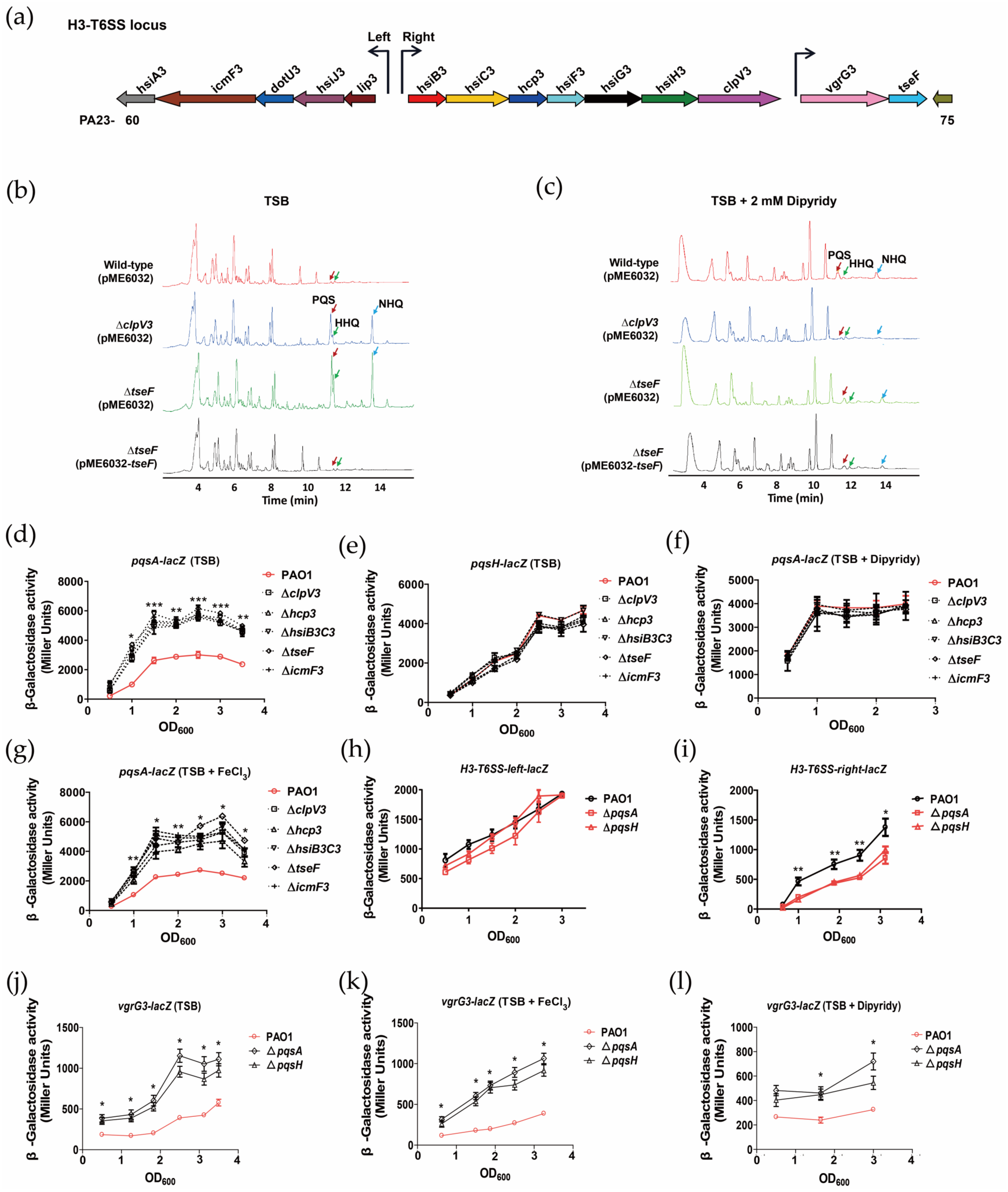 Ijms 24 01614 g001 Ijms 24 01614 g001