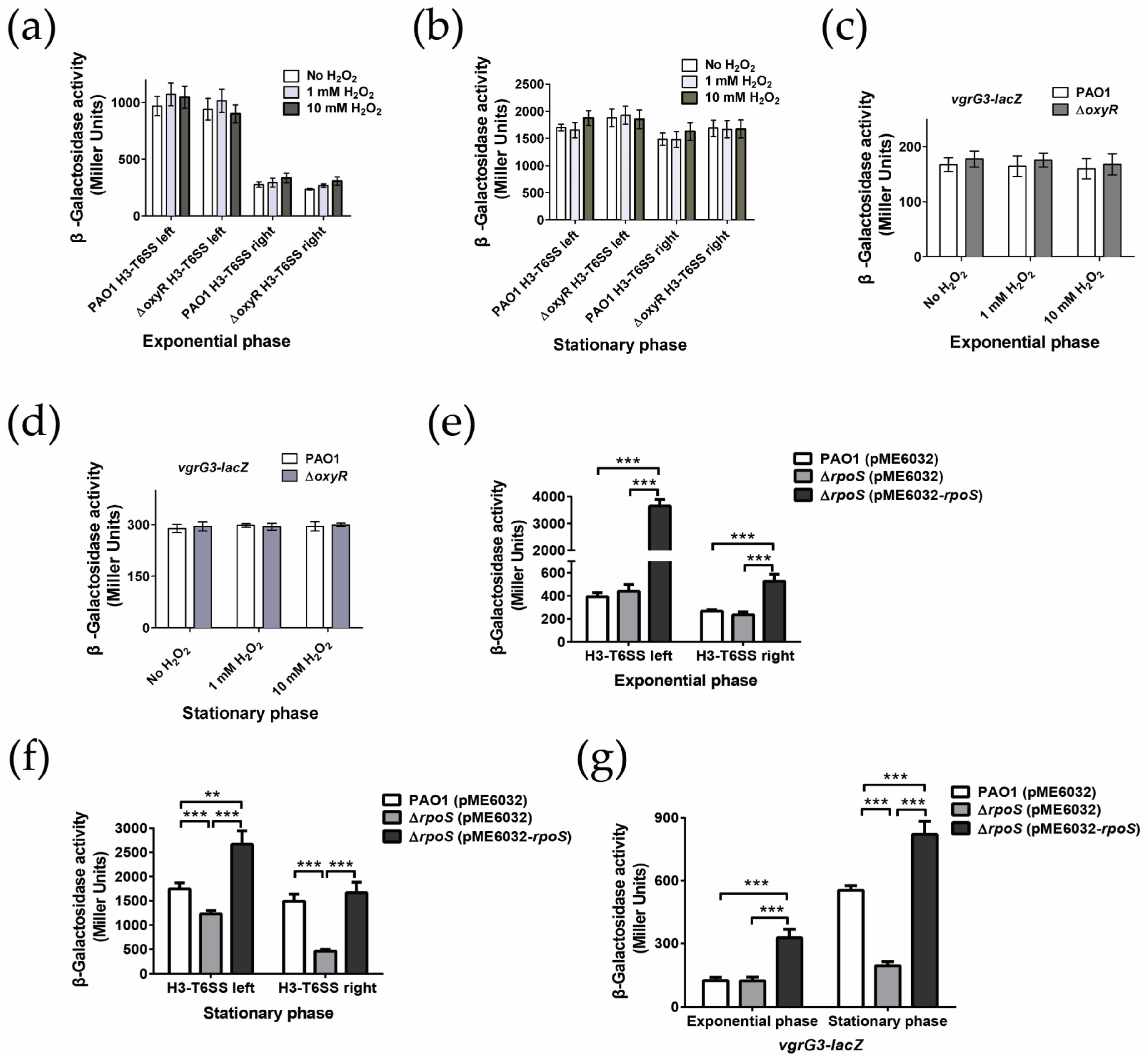 Ijms 24 01614 g003 Ijms 24 01614 g003