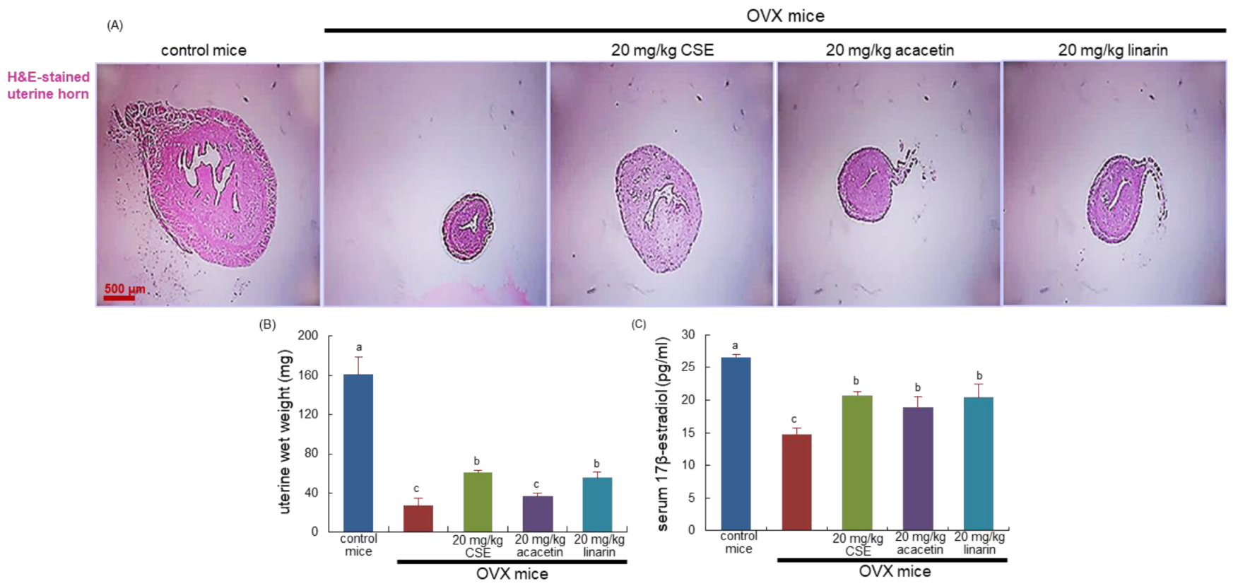 Ijms 24 01620 g001 Ijms 24 01620 g001