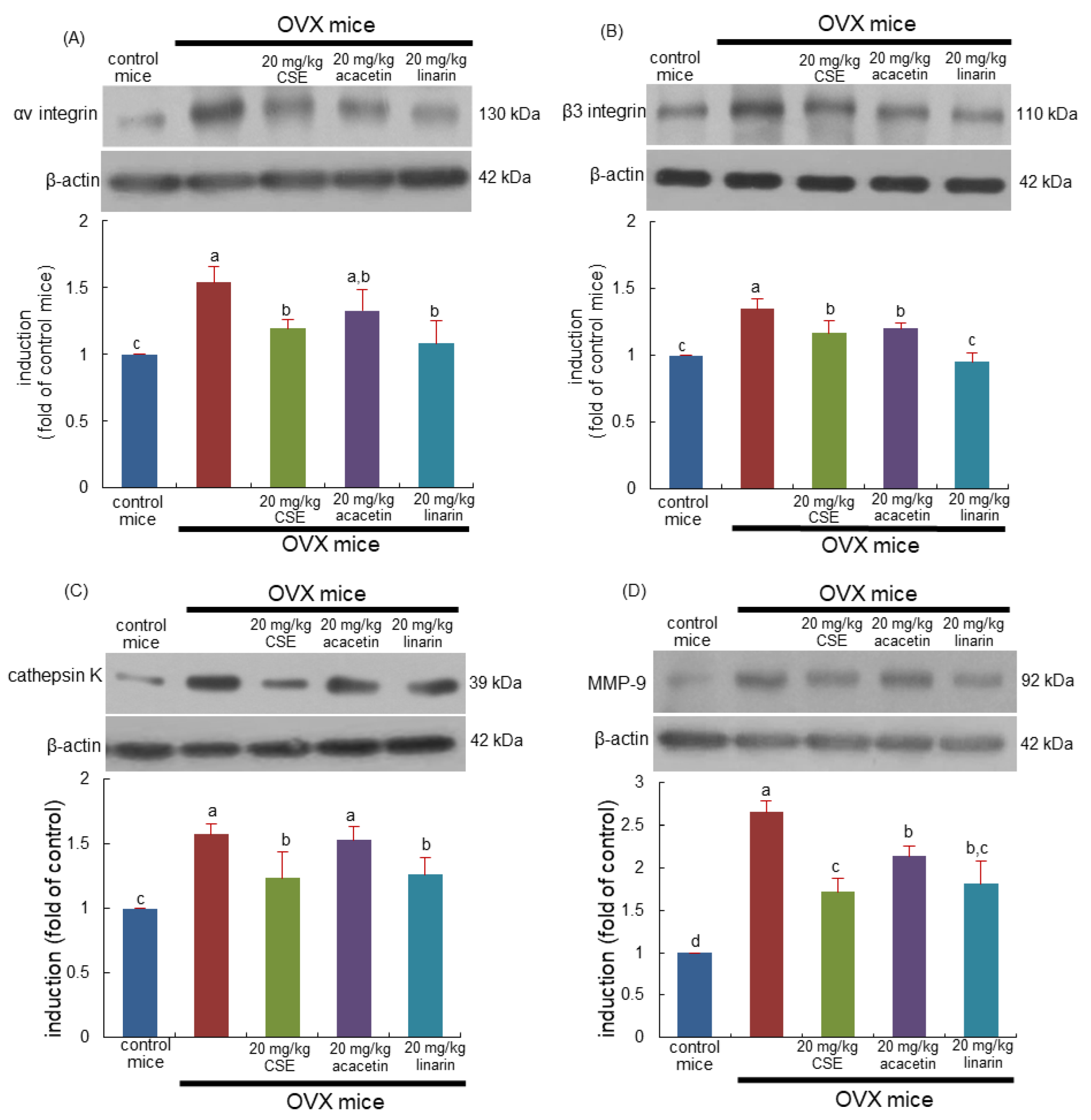 Ijms 24 01620 g004 Ijms 24 01620 g004