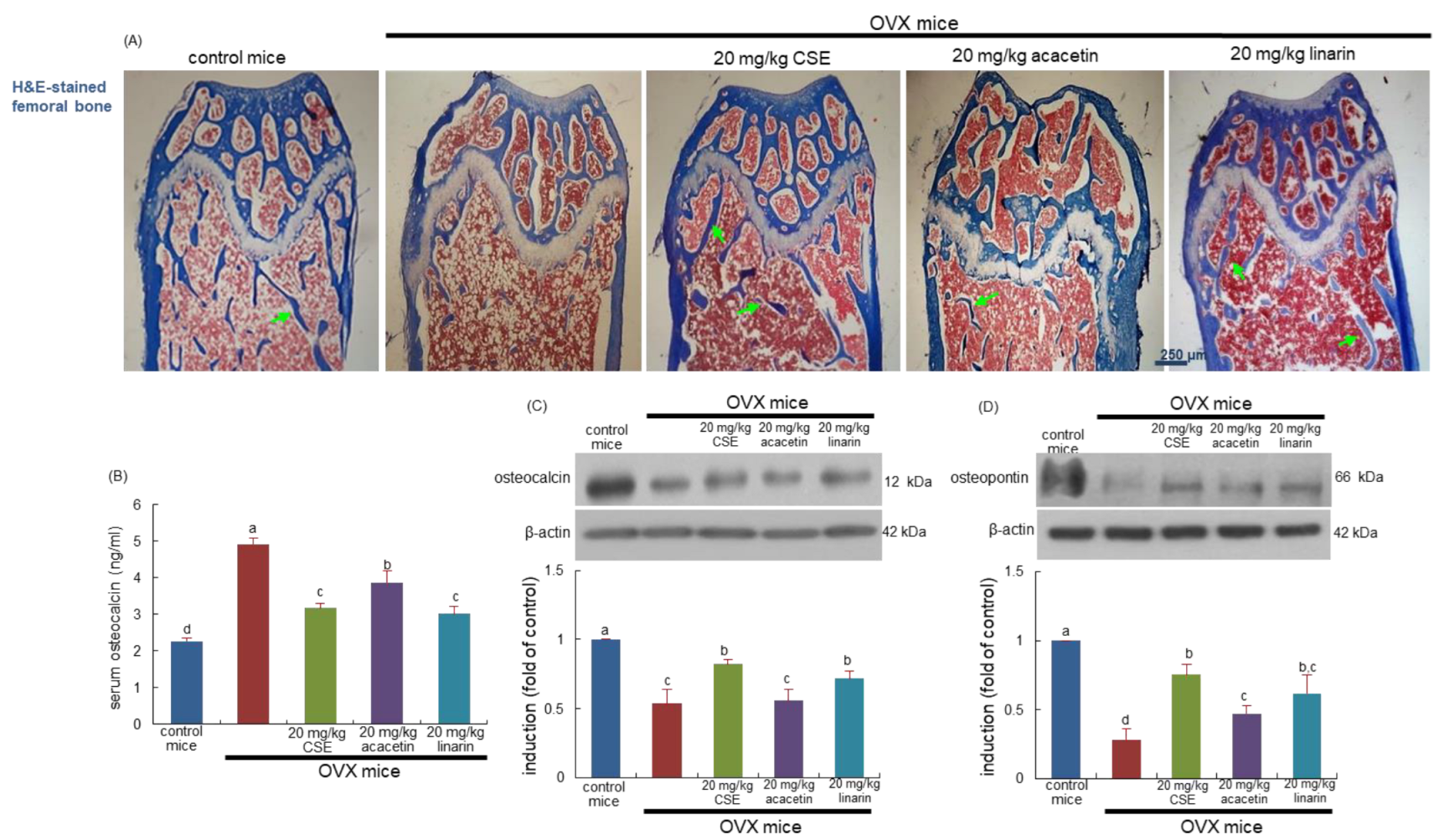 Ijms 24 01620 g005 Ijms 24 01620 g005