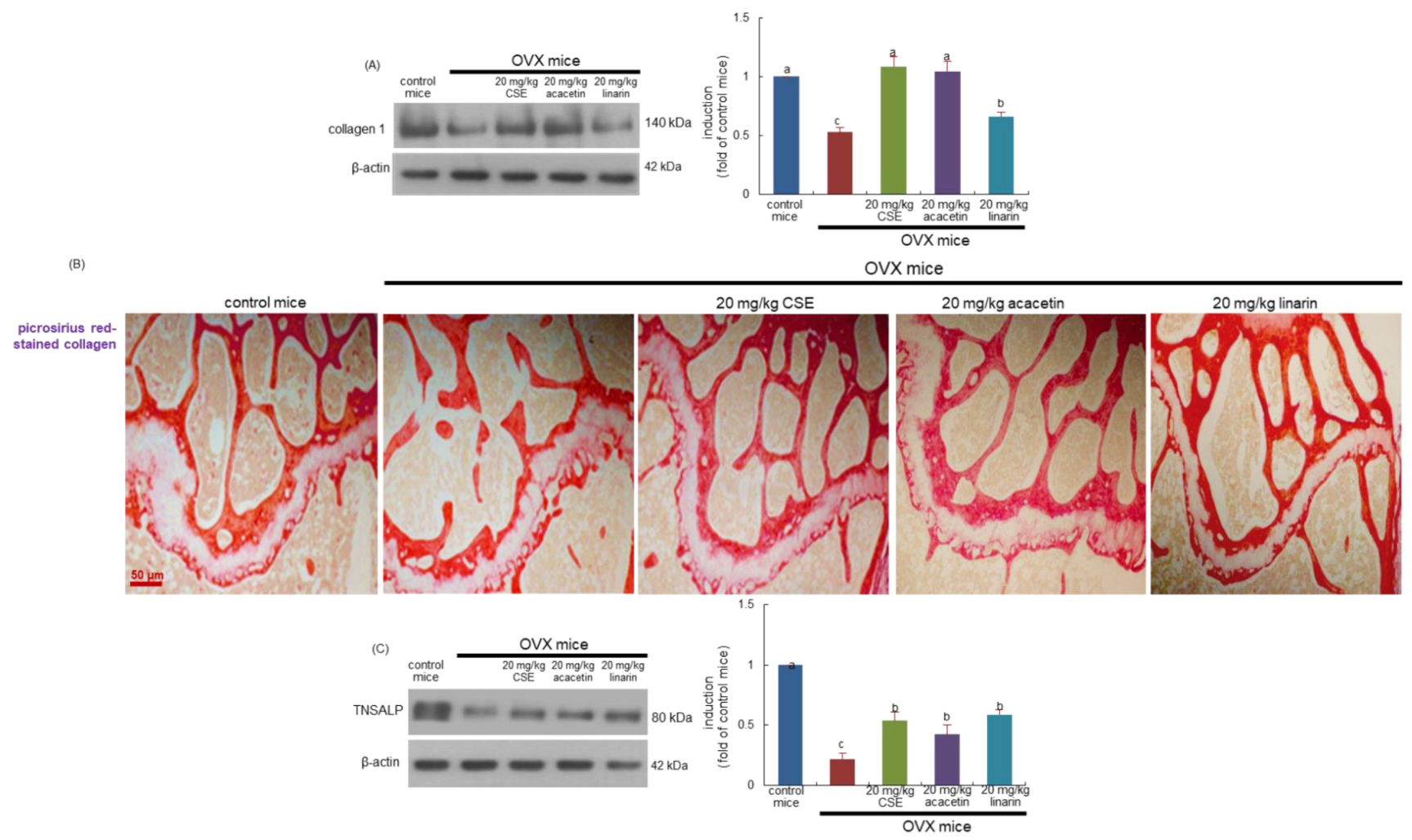 Ijms 24 01620 g007 Ijms 24 01620 g007