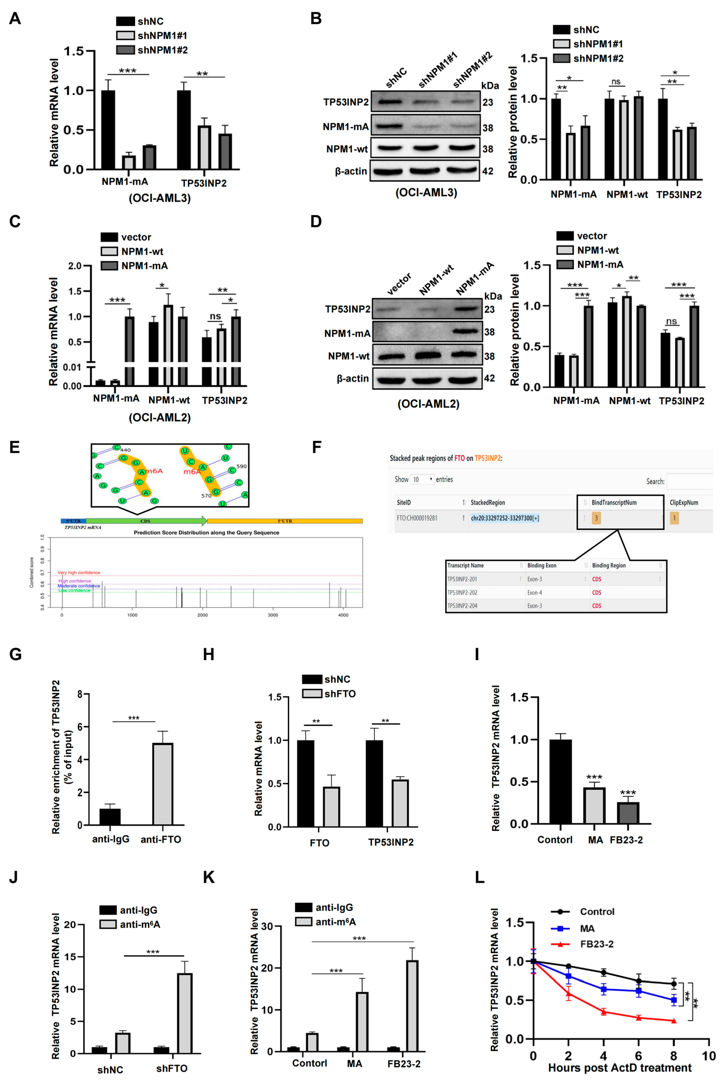 Ijms 24 01624 g003 Ijms 24 01624 g003