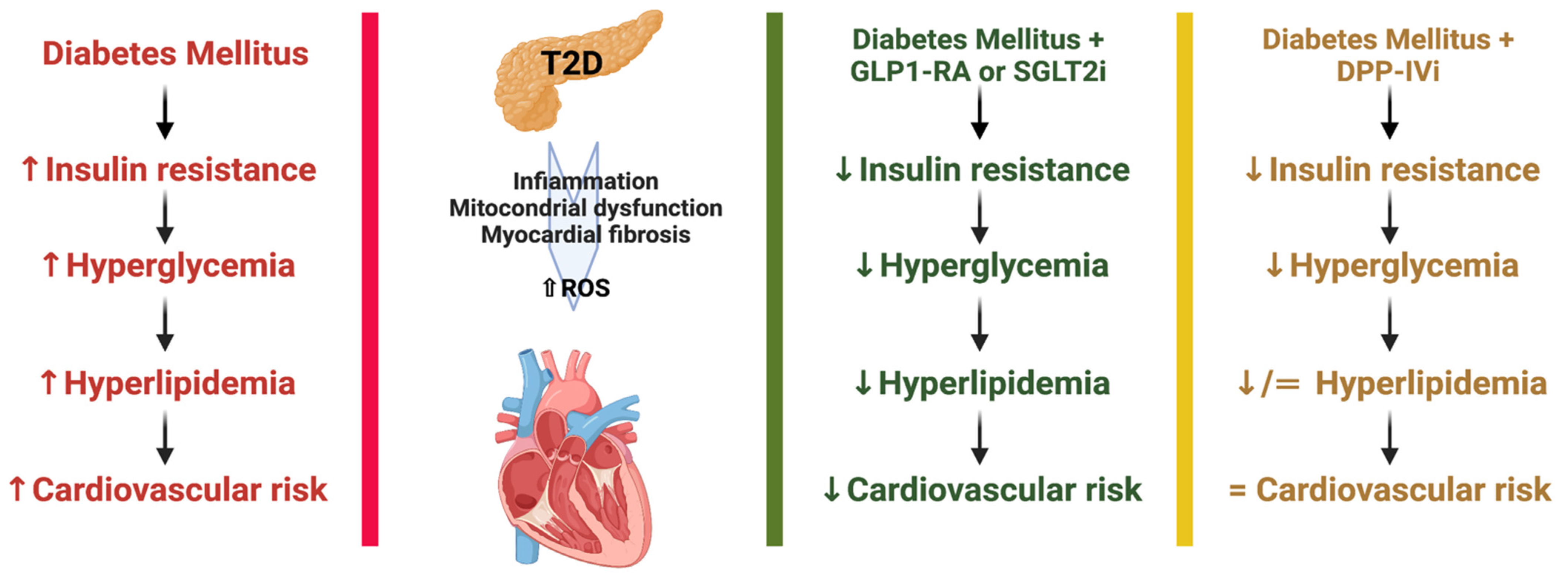 IJMS | Free Full-Text | Recent Pharmacological Options in Type 2 Diabetes  and Synergic Mechanism in Cardiovascular Disease