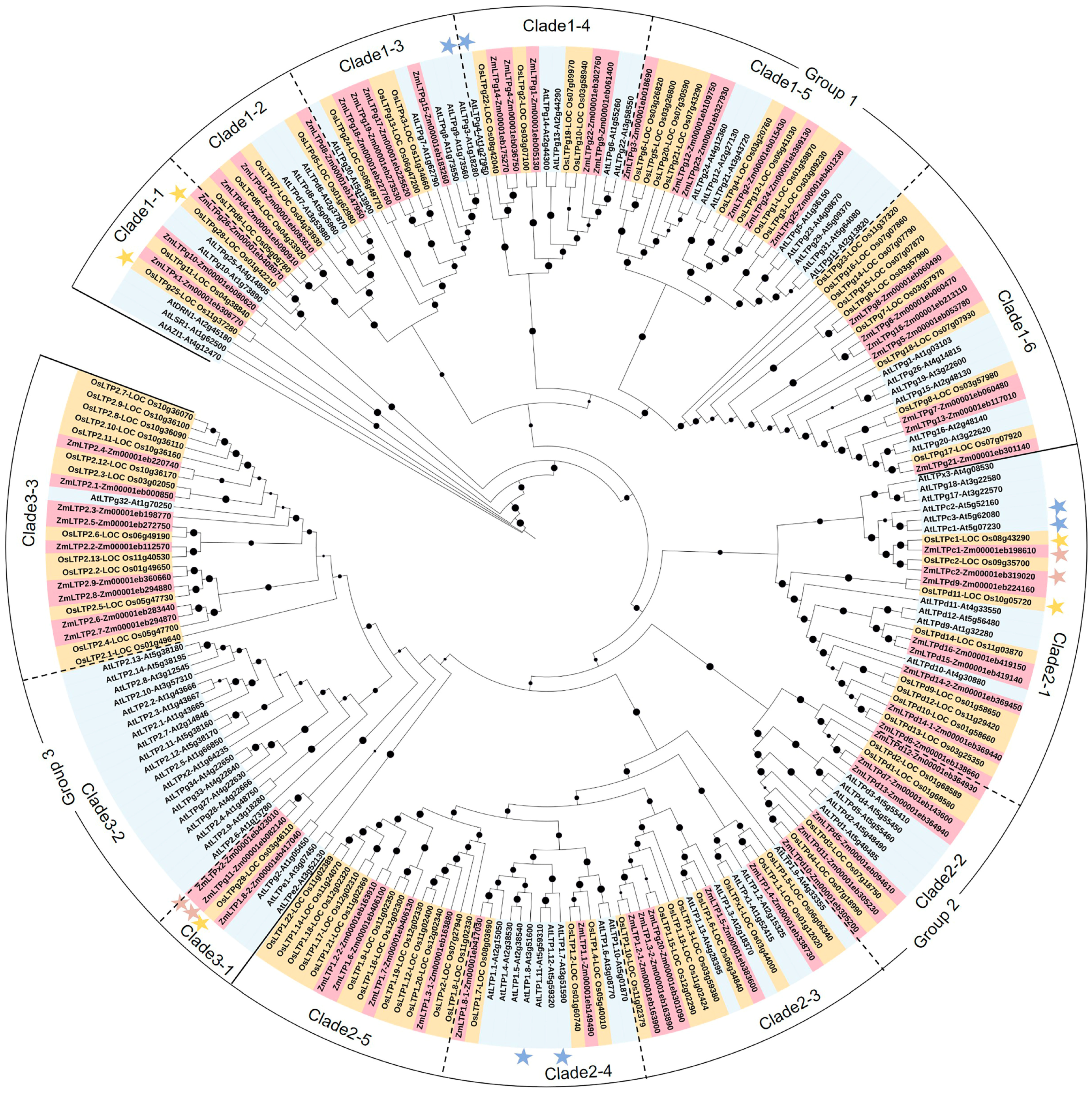 Ijms 24 01660 g002 Ijms 24 01660 g002