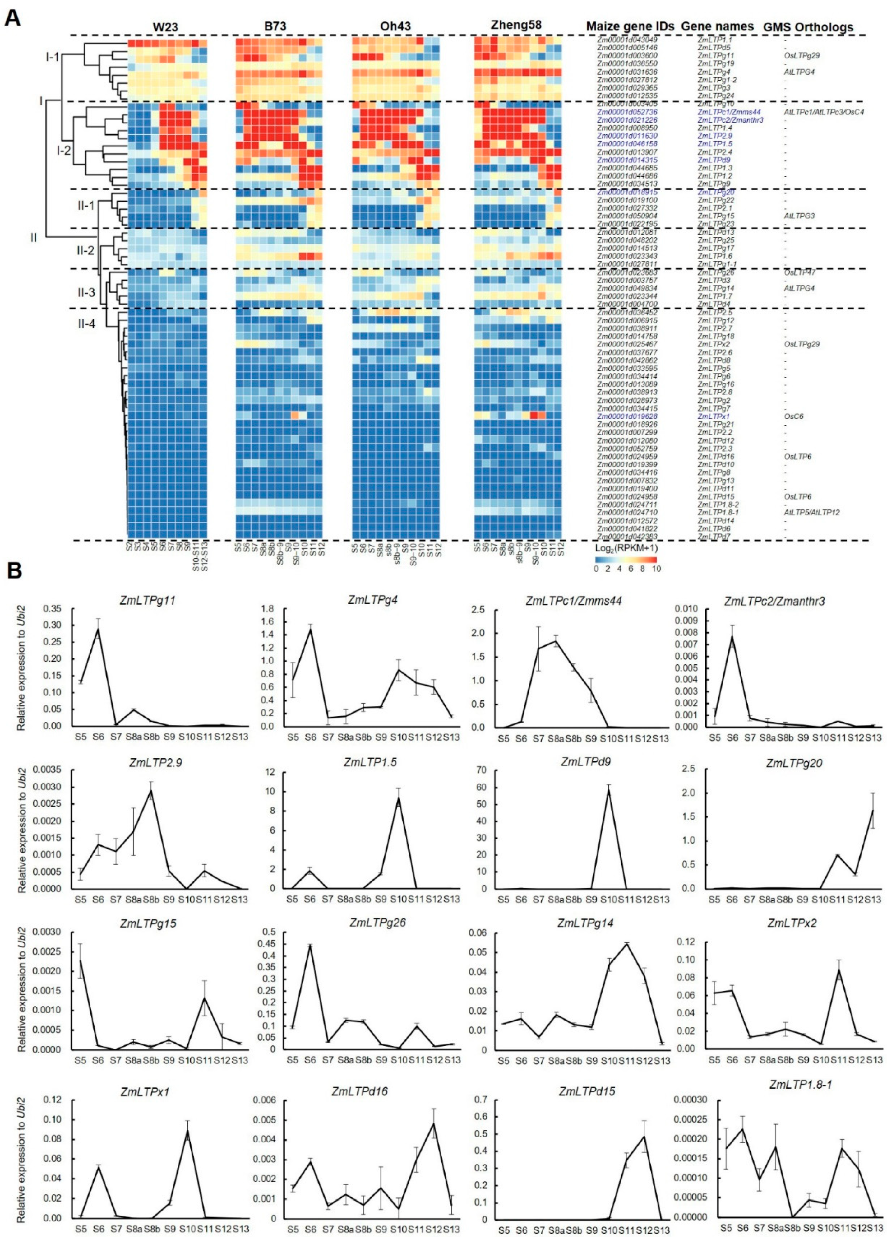 Ijms 24 01660 g005 Ijms 24 01660 g005