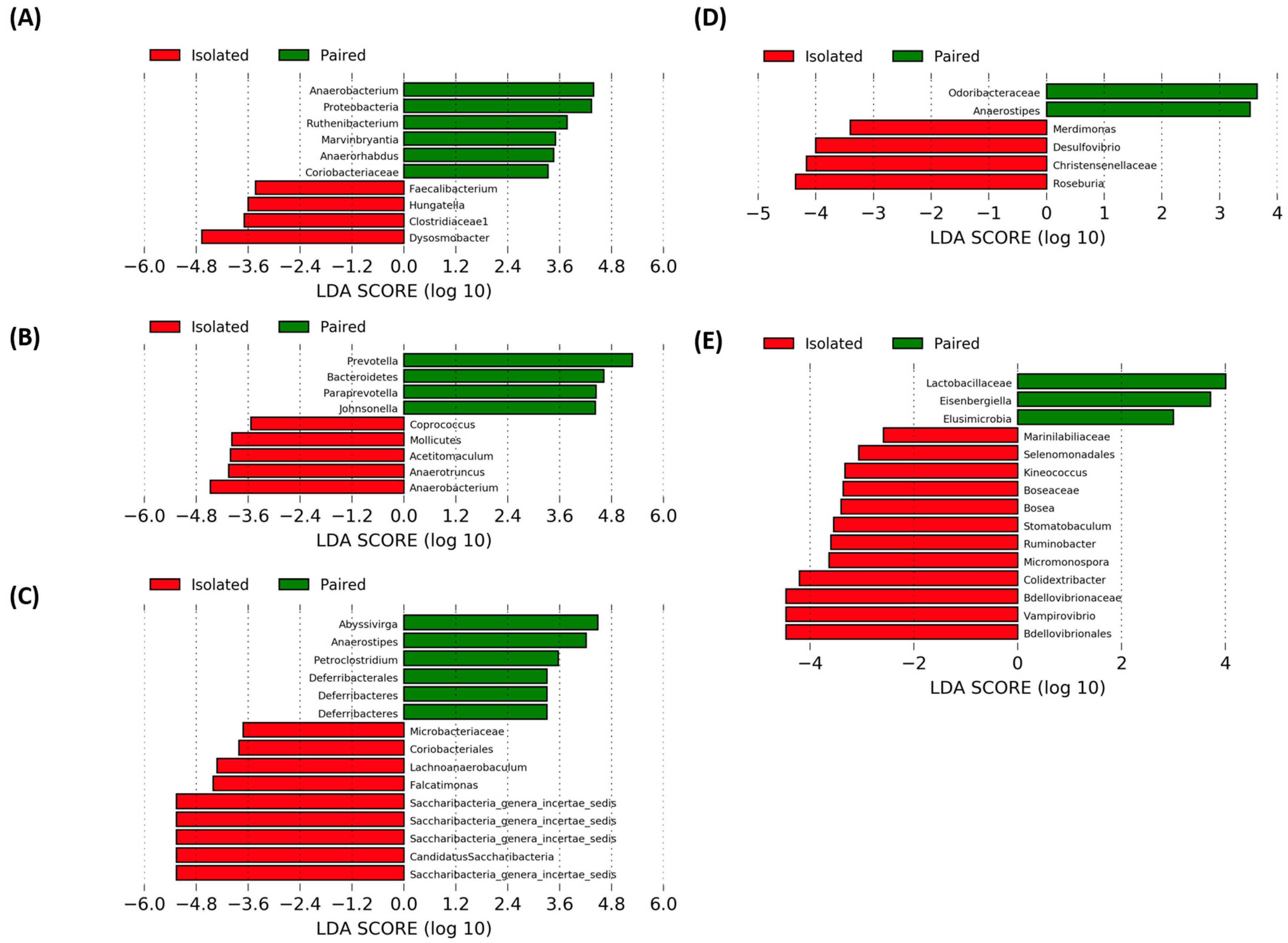 Ijms 24 01677 g004 Ijms 24 01677 g004