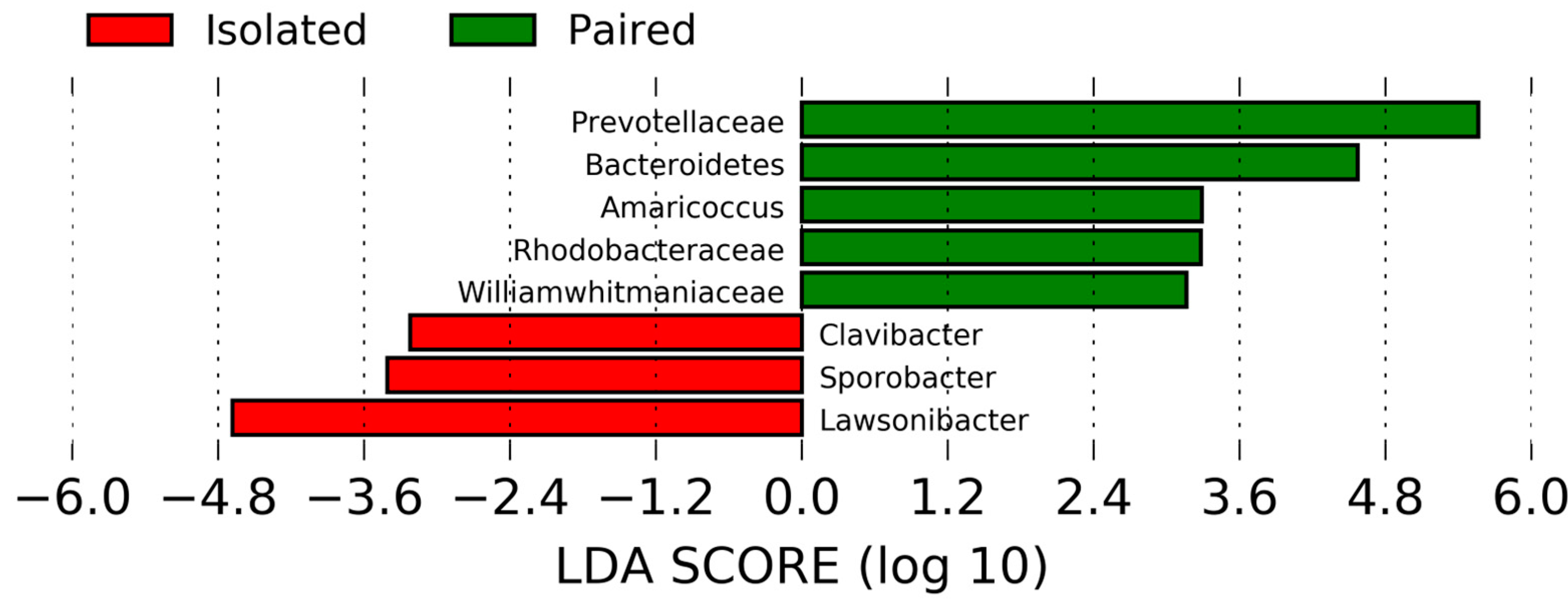 Ijms 24 01677 g005 Ijms 24 01677 g005