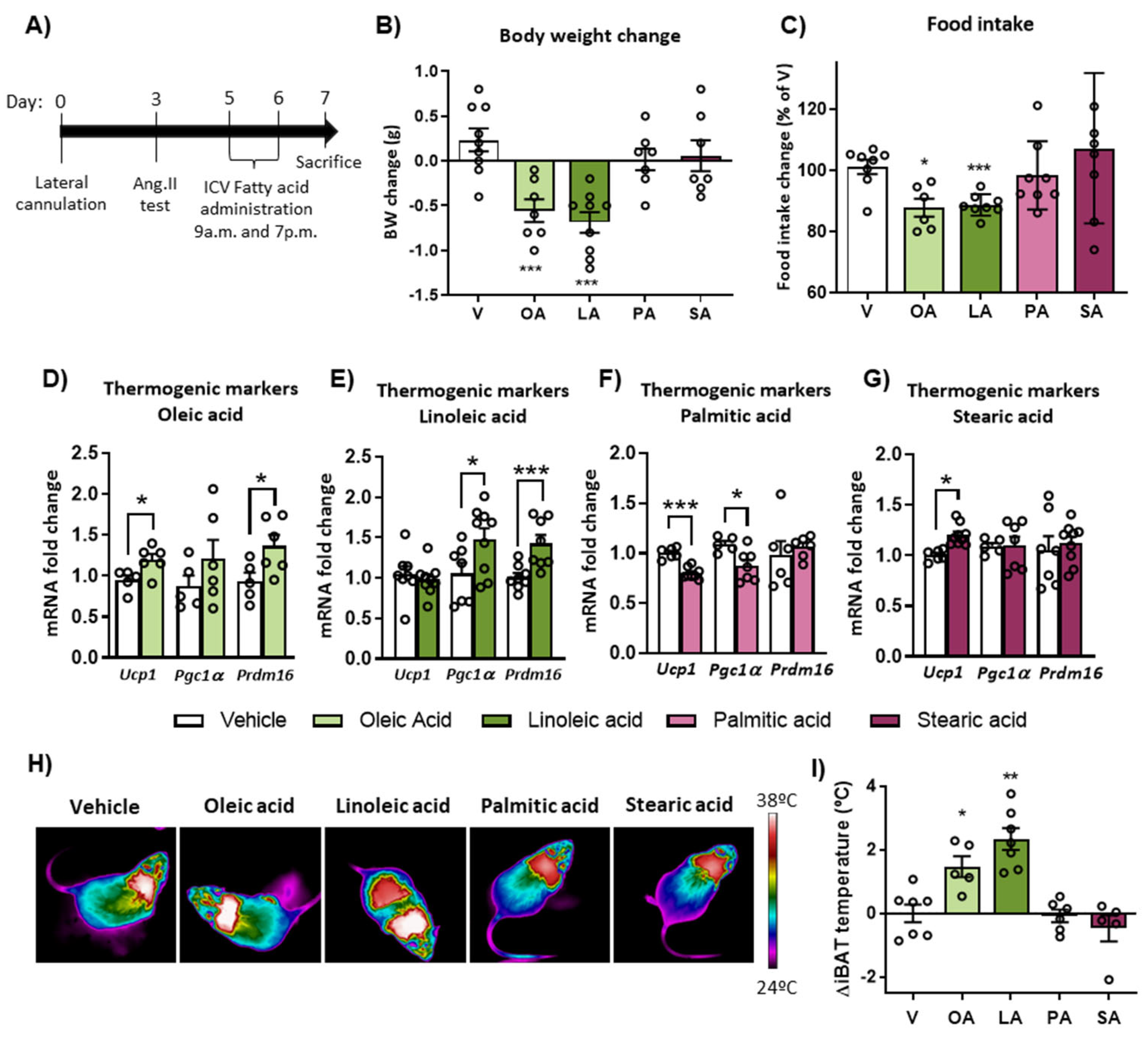Ijms 24 01697 g002 Ijms 24 01697 g002