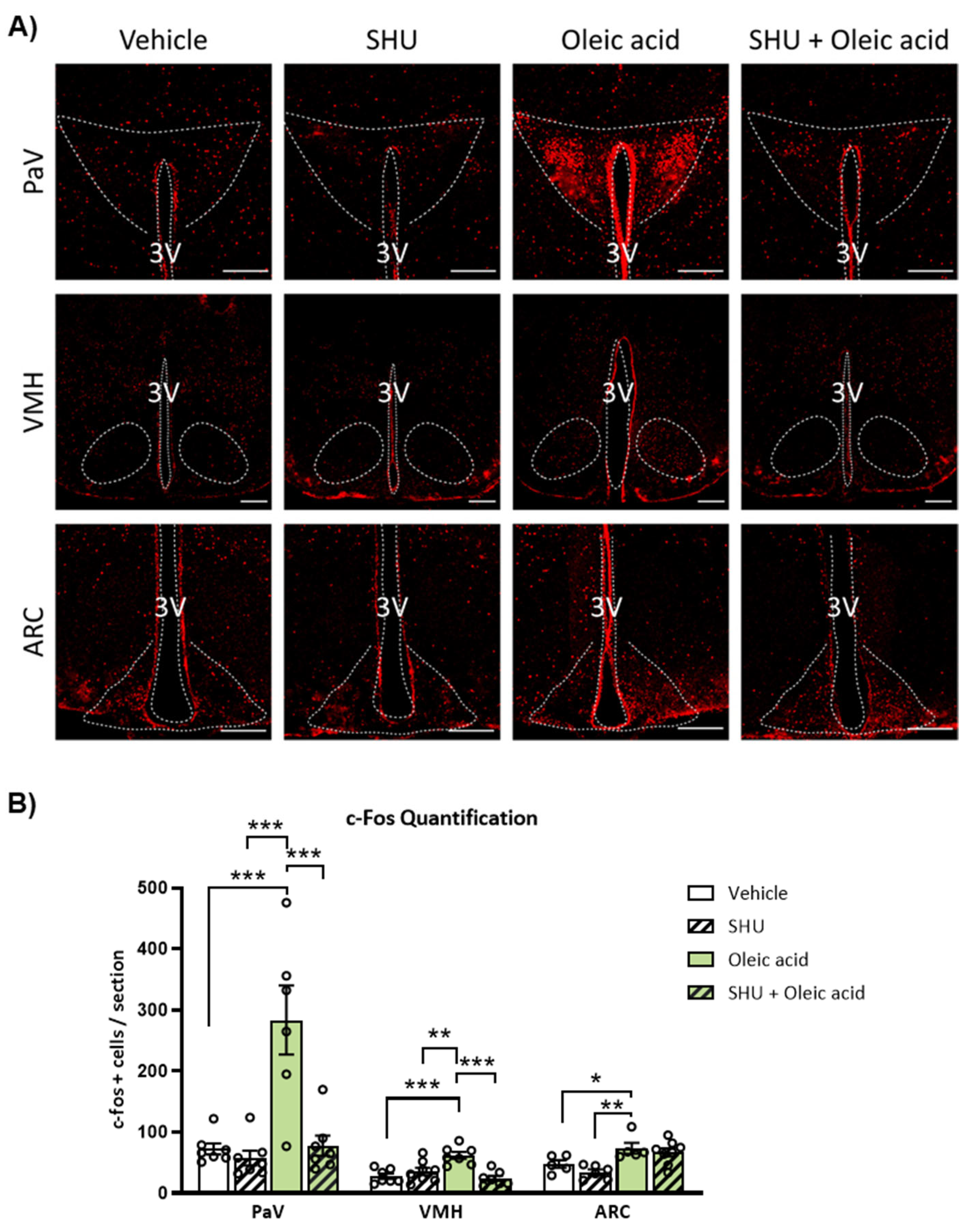 Ijms 24 01697 g004 Ijms 24 01697 g004
