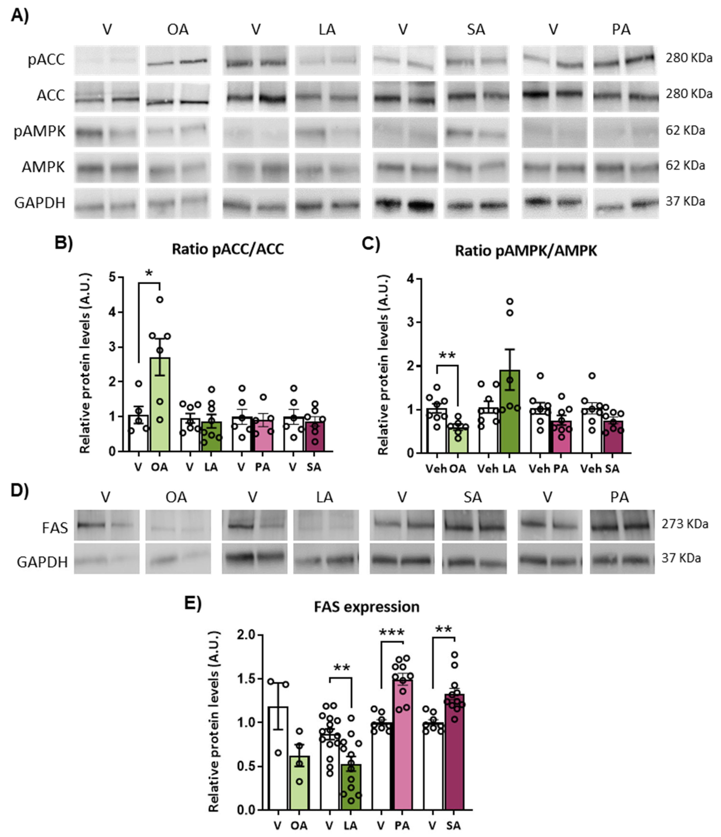 Ijms 24 01697 g005 Ijms 24 01697 g005