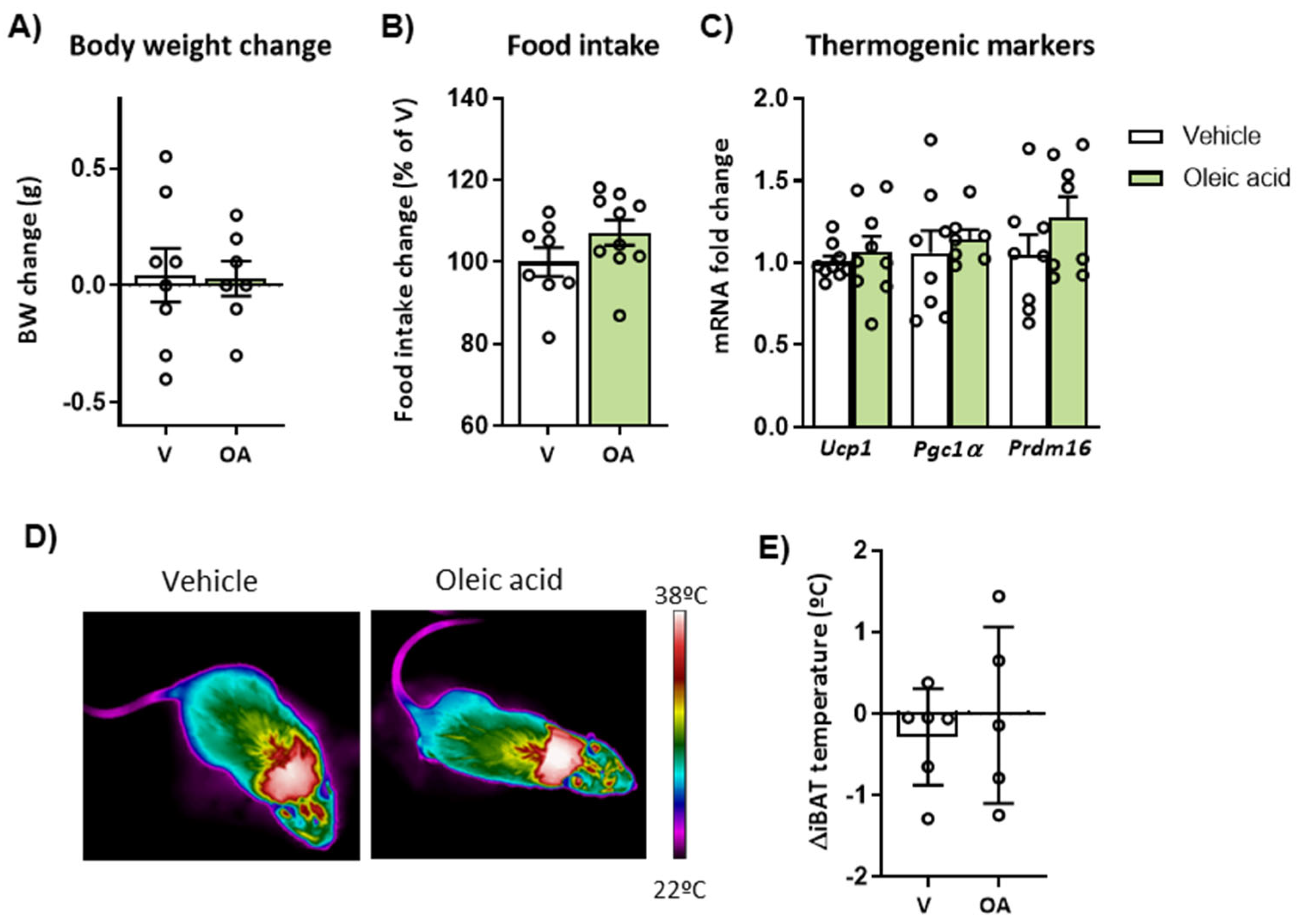 Ijms 24 01697 g006 Ijms 24 01697 g006