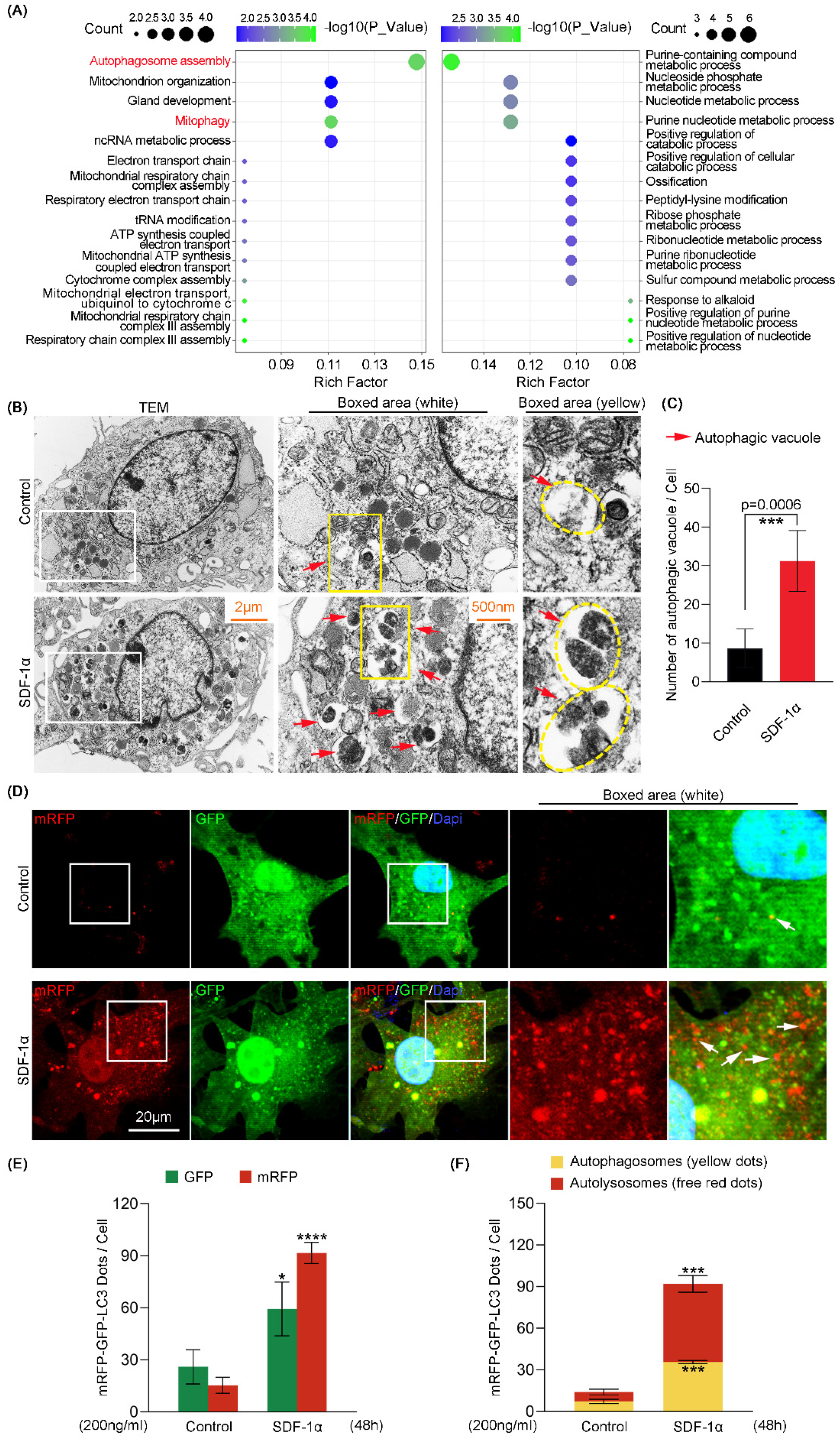 Ijms 24 01710 g001 Ijms 24 01710 g001