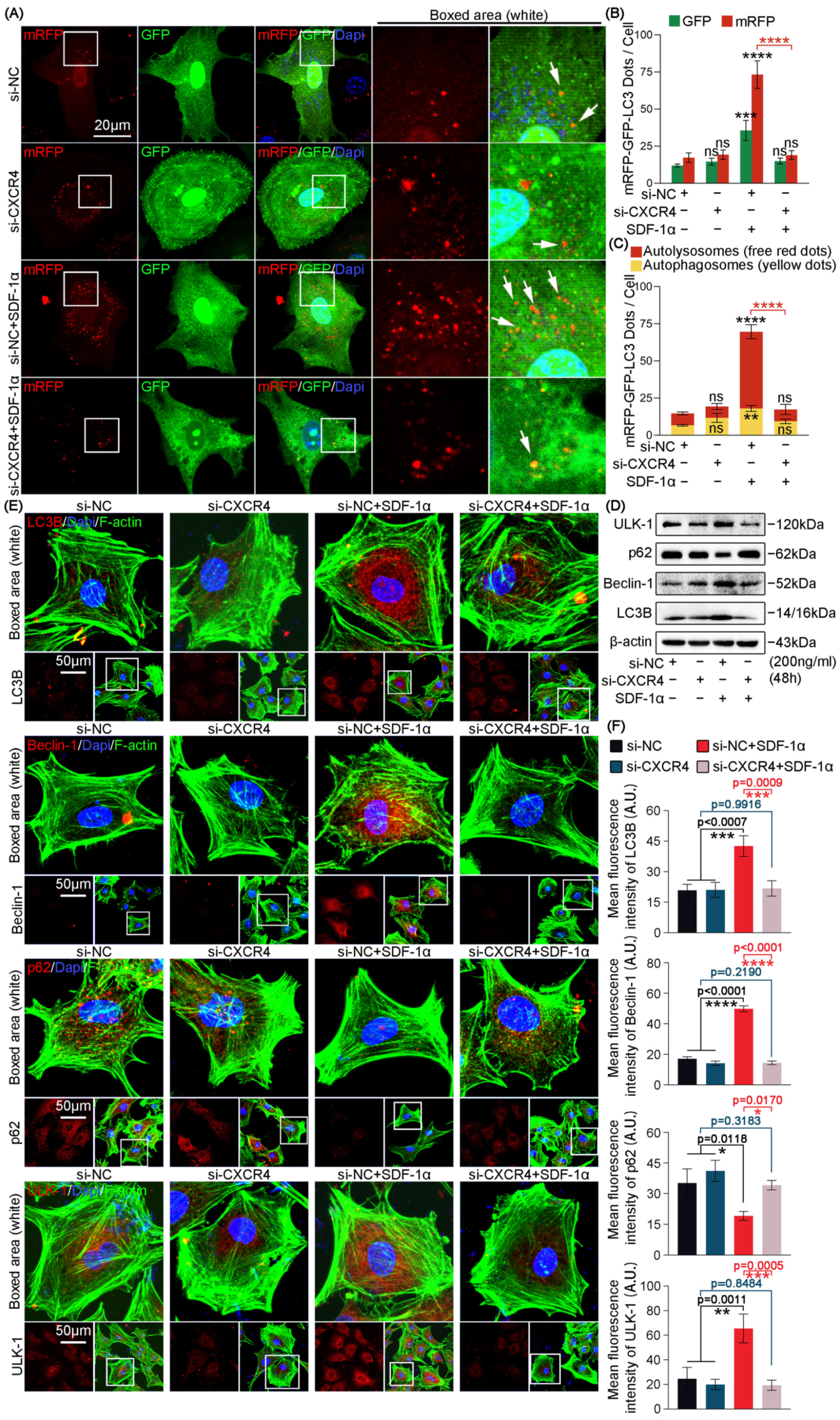 Ijms 24 01710 g003 Ijms 24 01710 g003