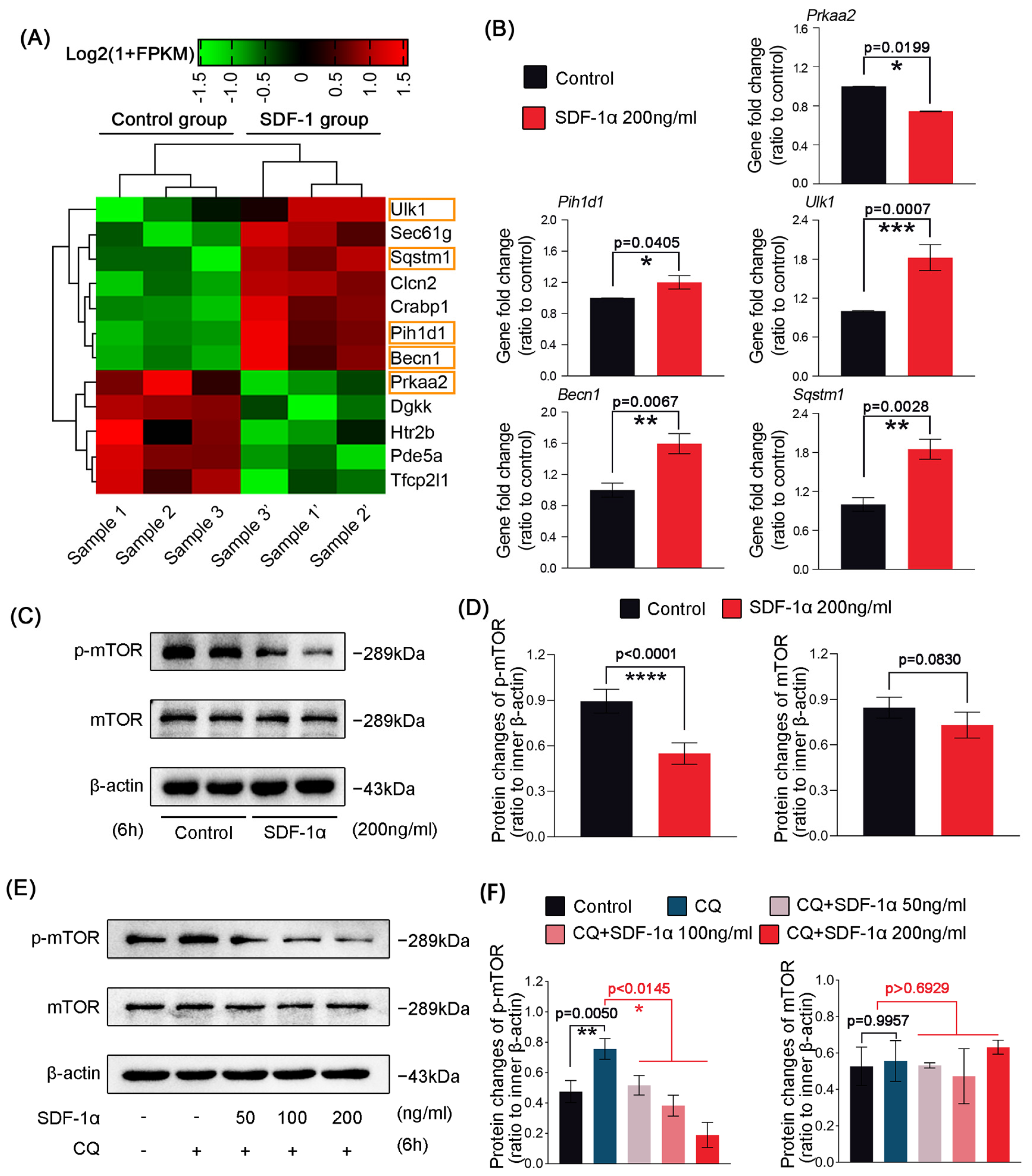 Ijms 24 01710 g004 Ijms 24 01710 g004